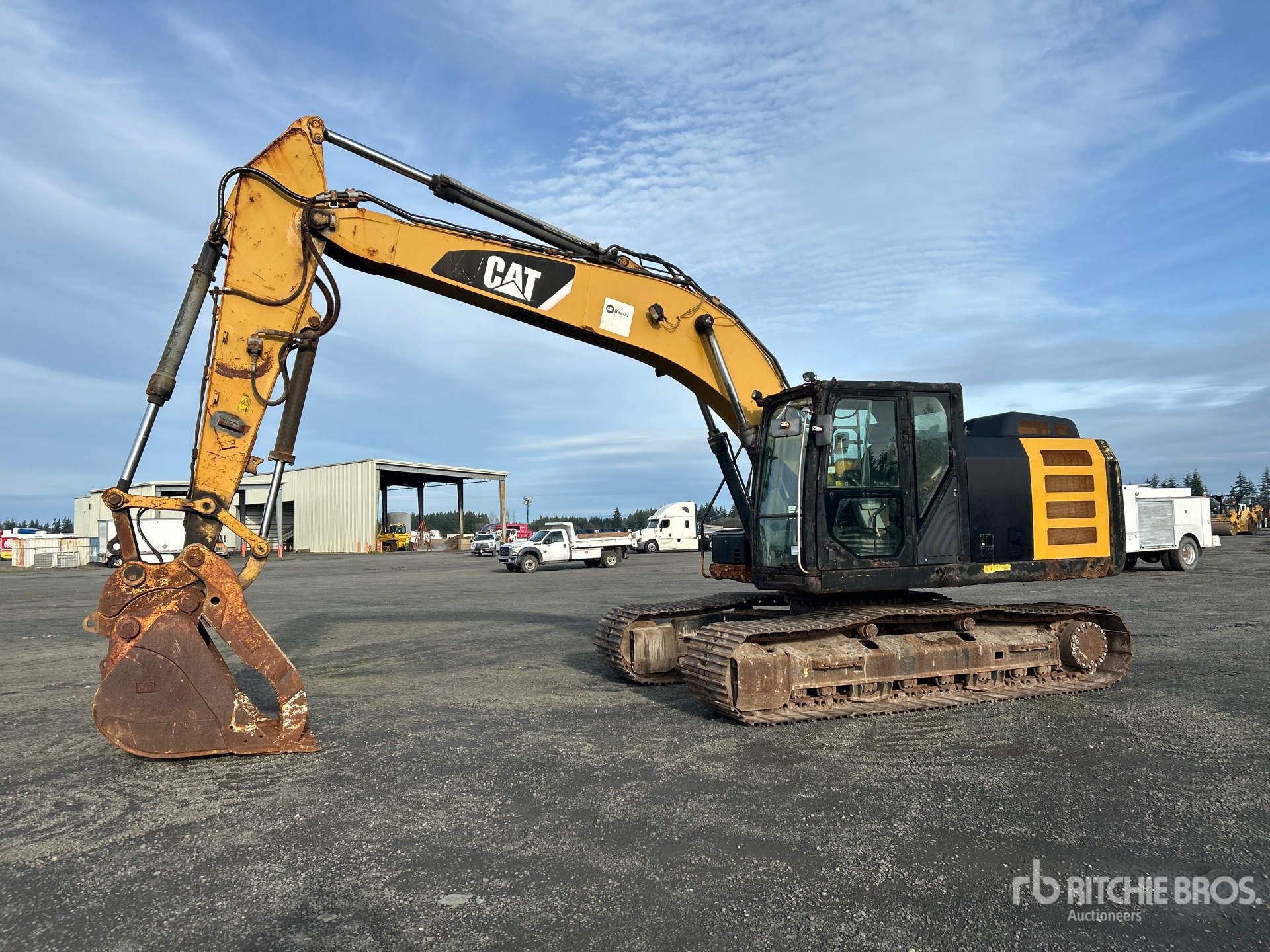 General Appearance with Spin