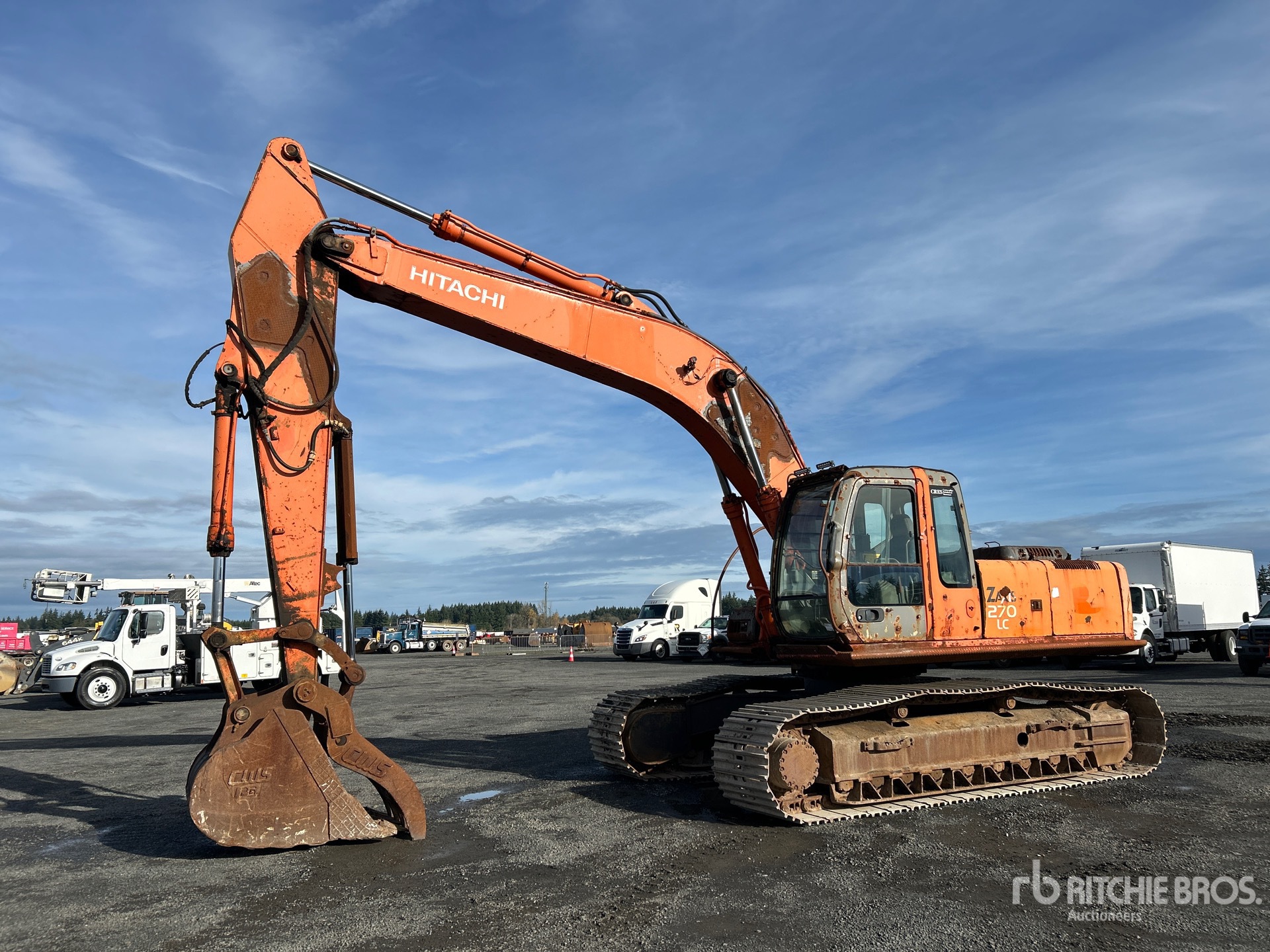 General Appearance with Spin