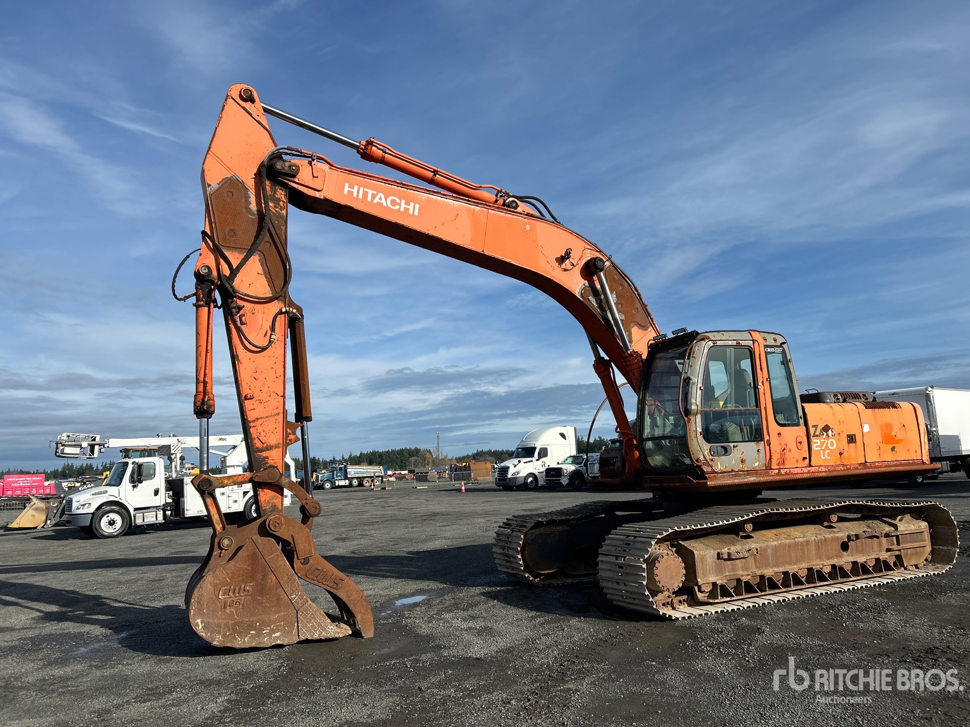 General Appearance with Spin