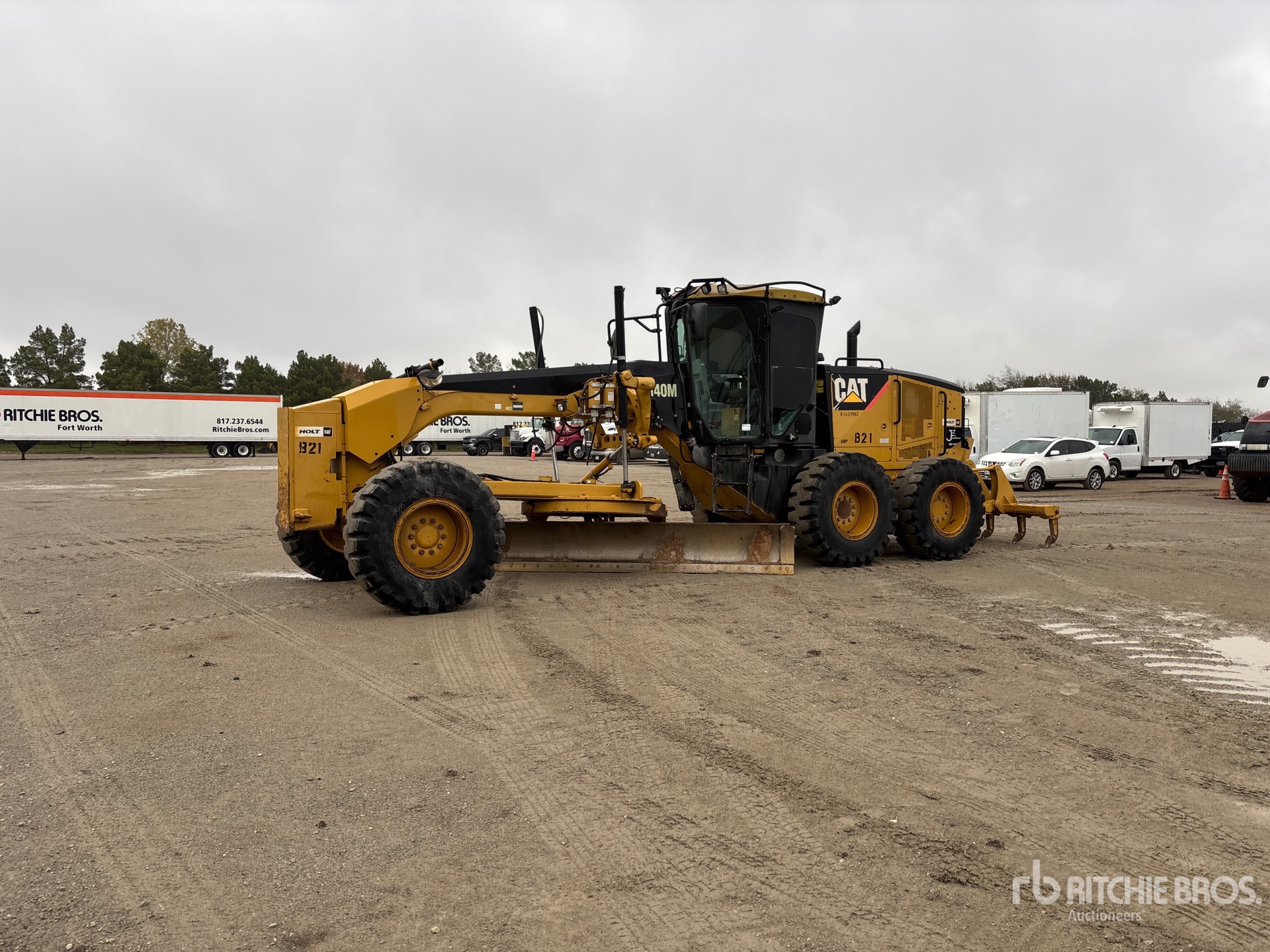 General Appearance with Spin