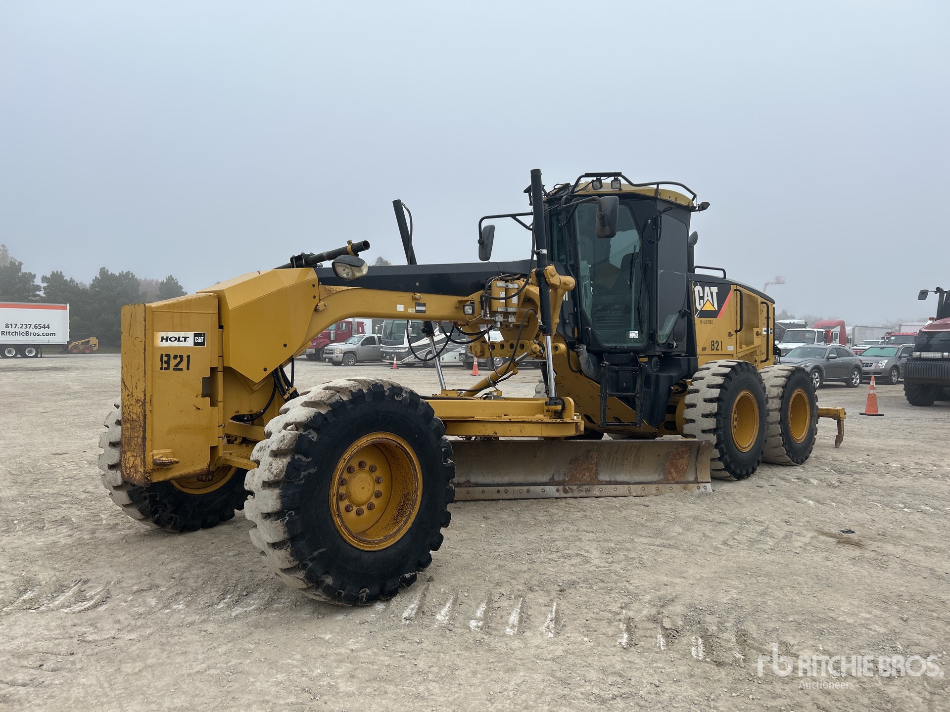 General Appearance with Spin