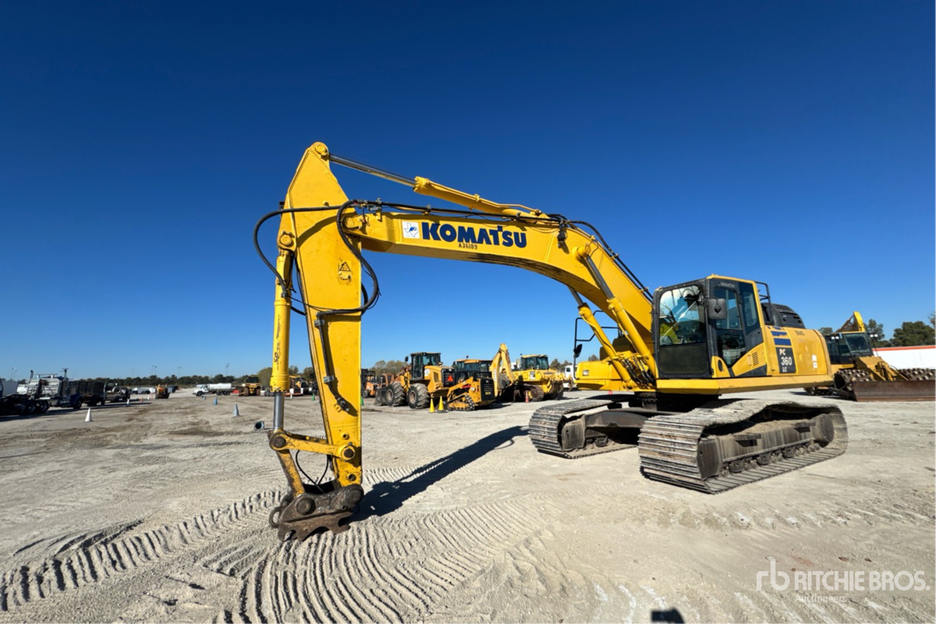 General Appearance with Spin