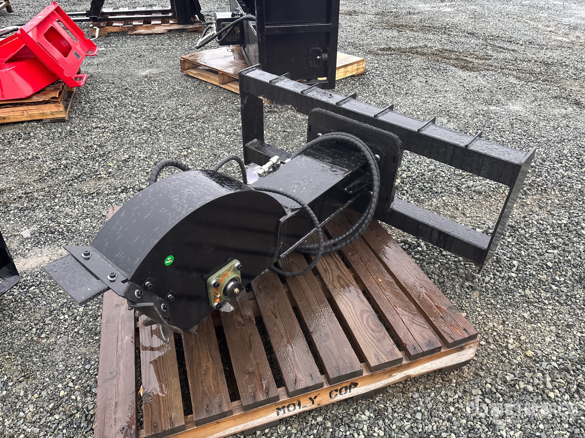 General Appearance with Zdjęcie, lewy górny róg