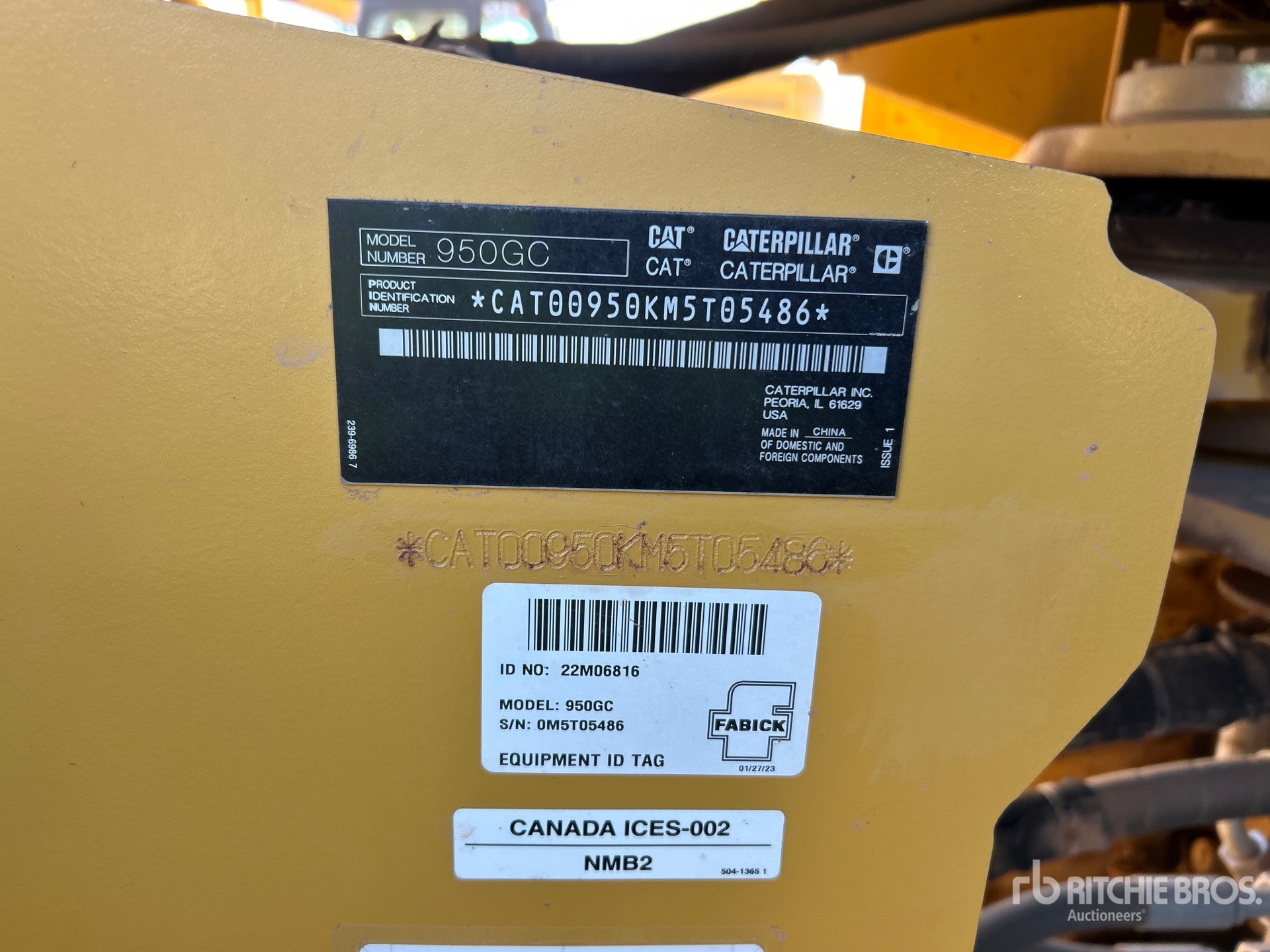 General Appearance with 