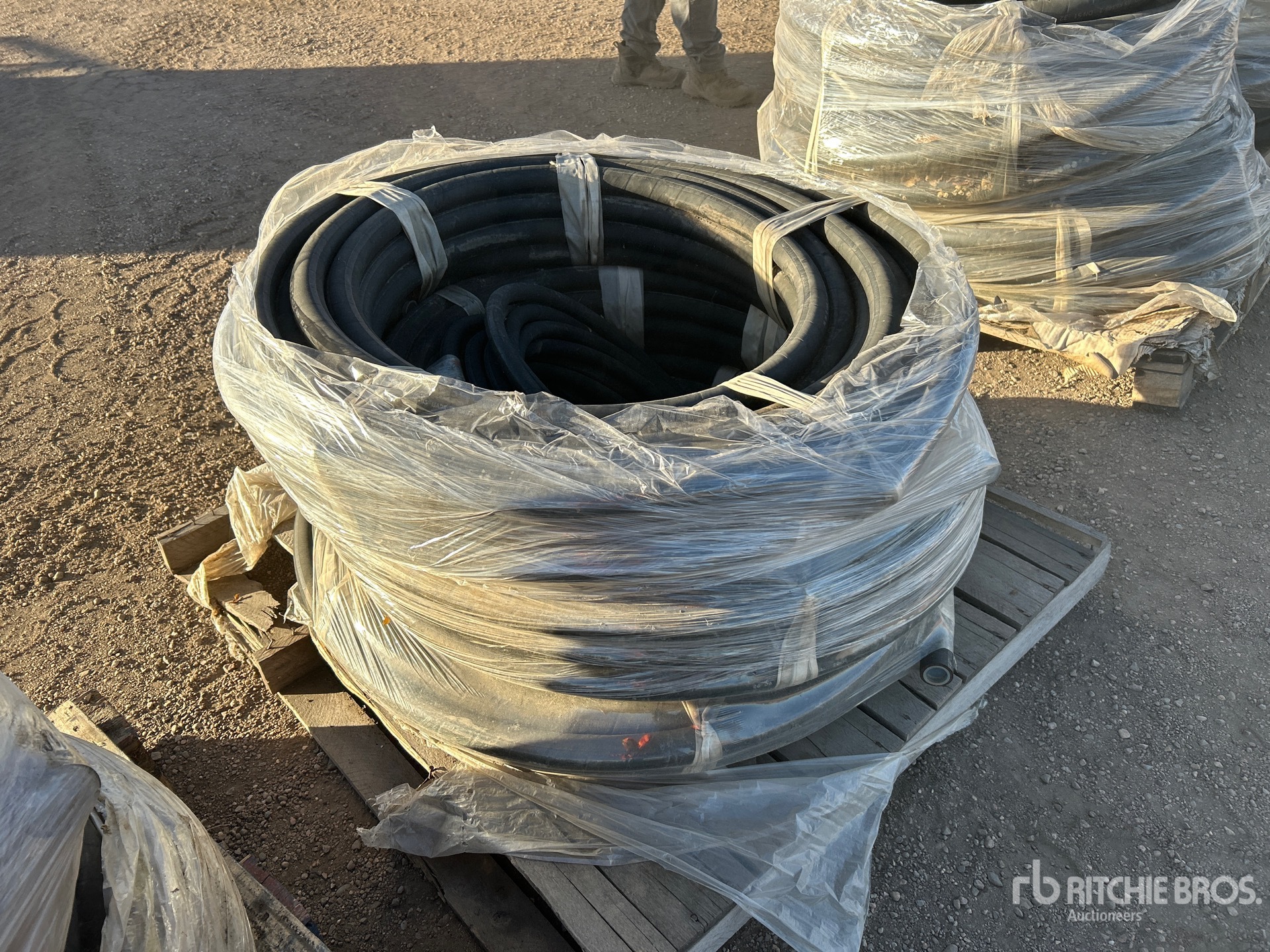 General Appearance with Bild, Ecke vorne links