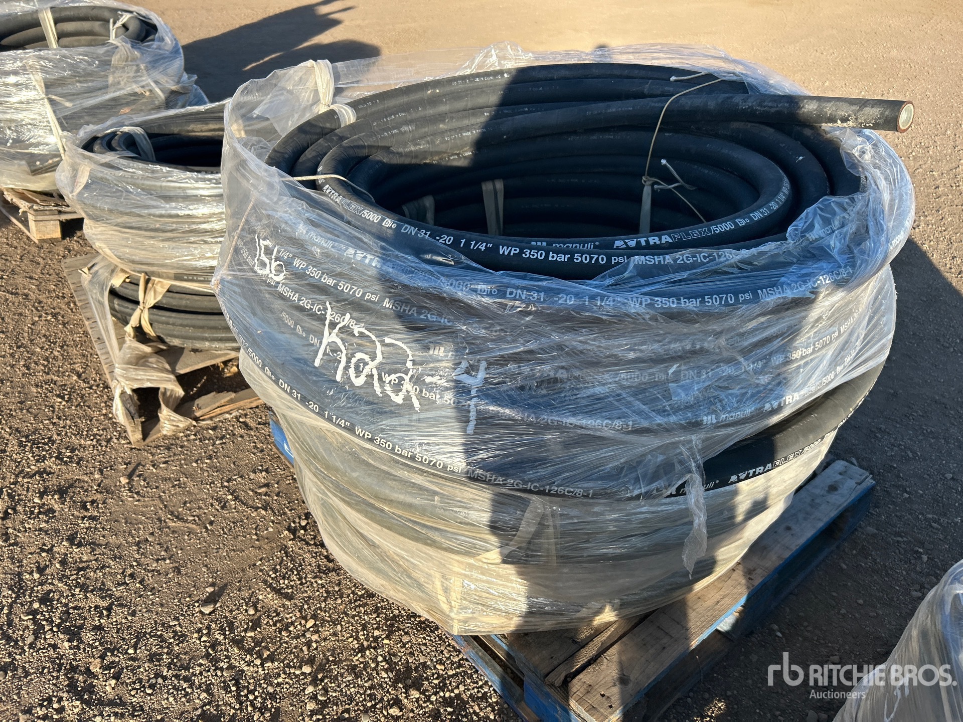 General Appearance with Bild, Ecke hinten links