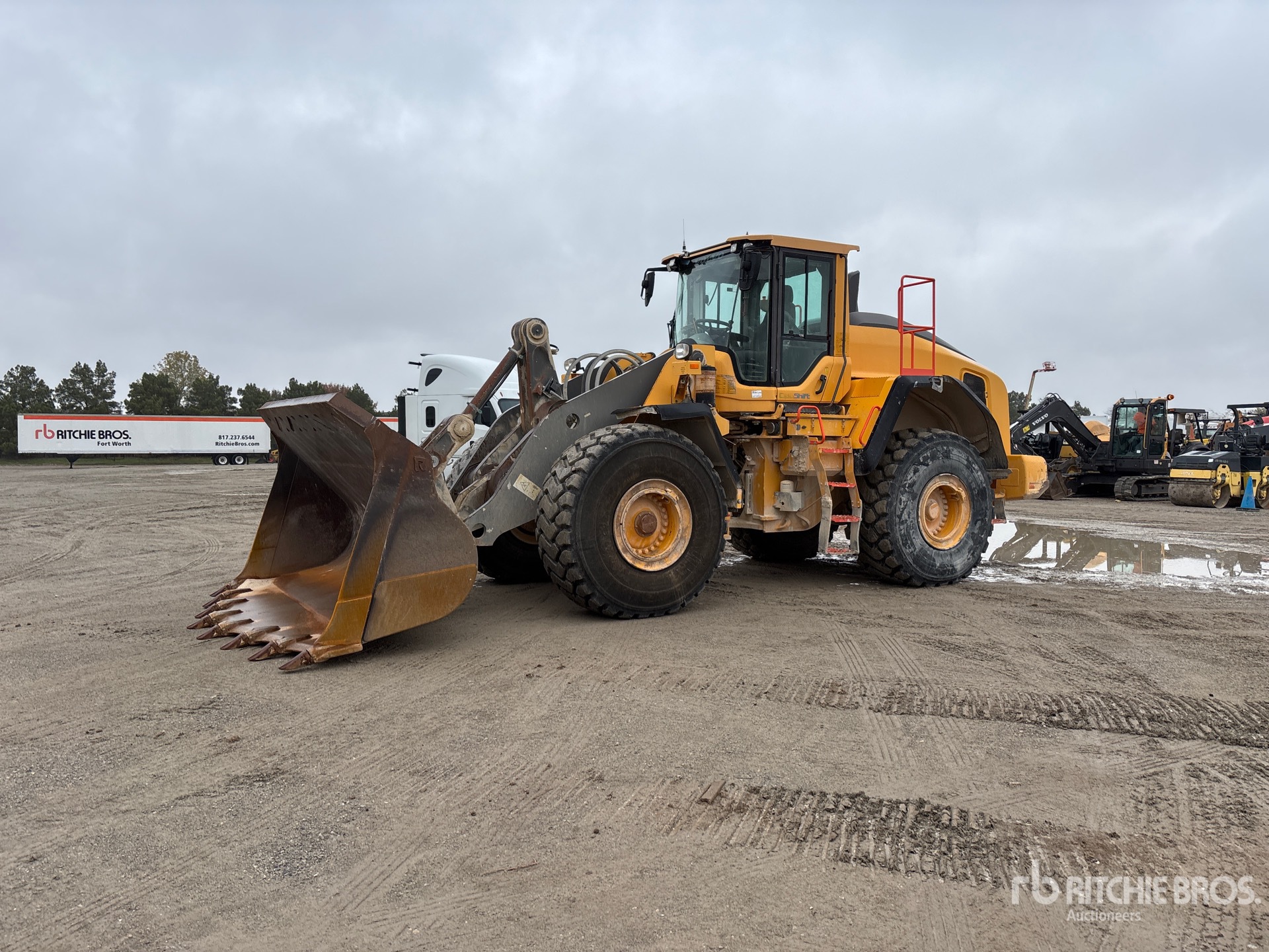 General Appearance with Spin