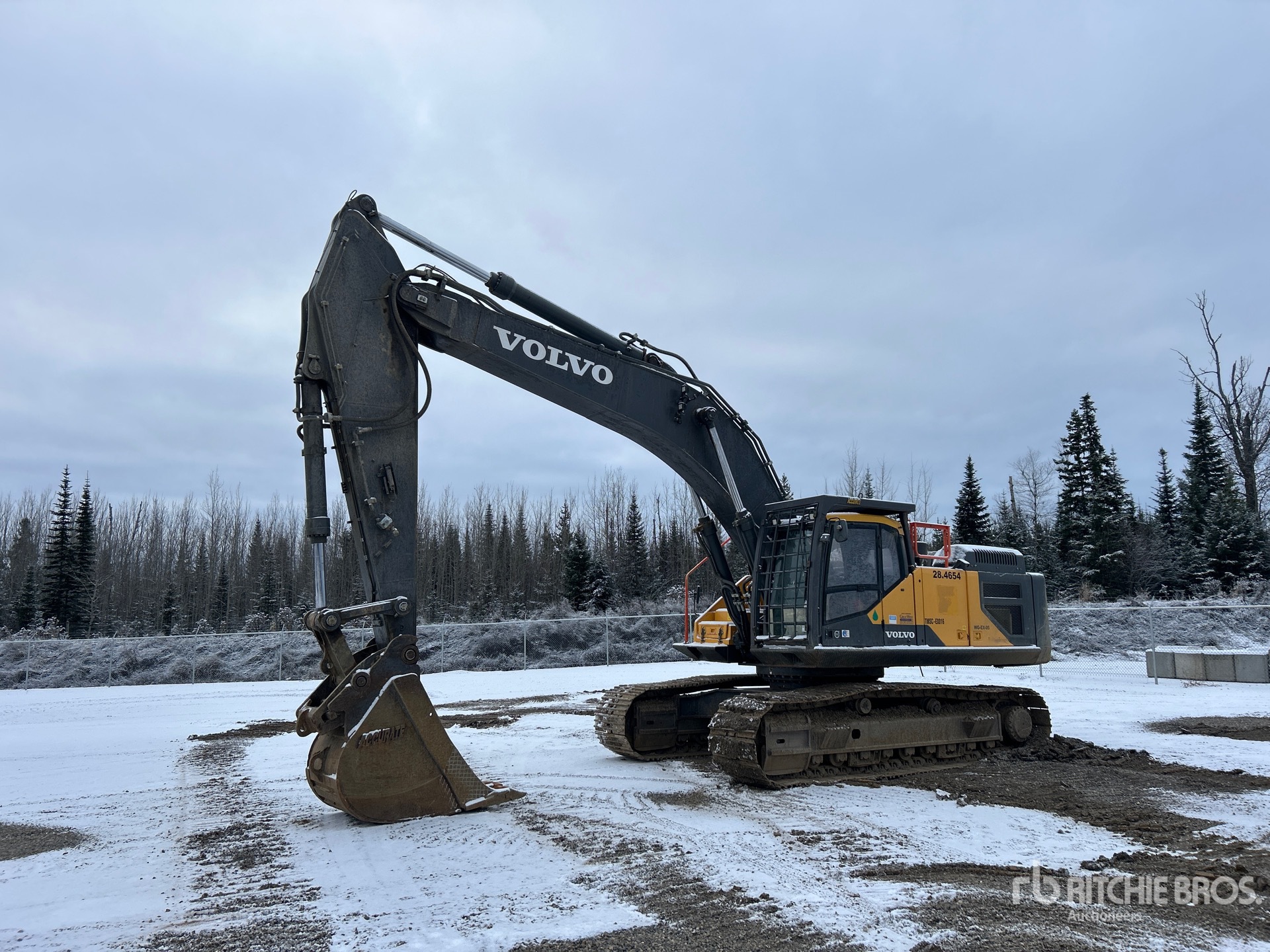 General Appearance with Spin