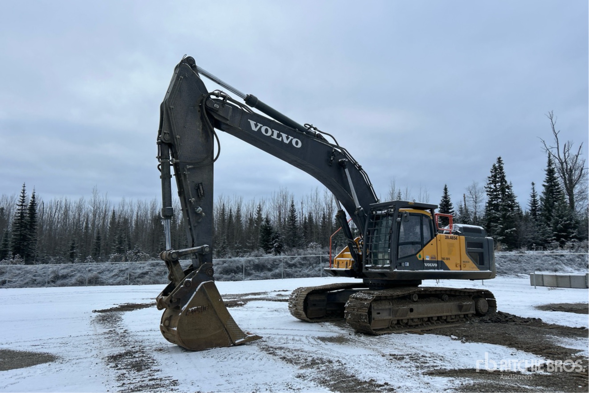 General Appearance with Bild, Ecke vorne links