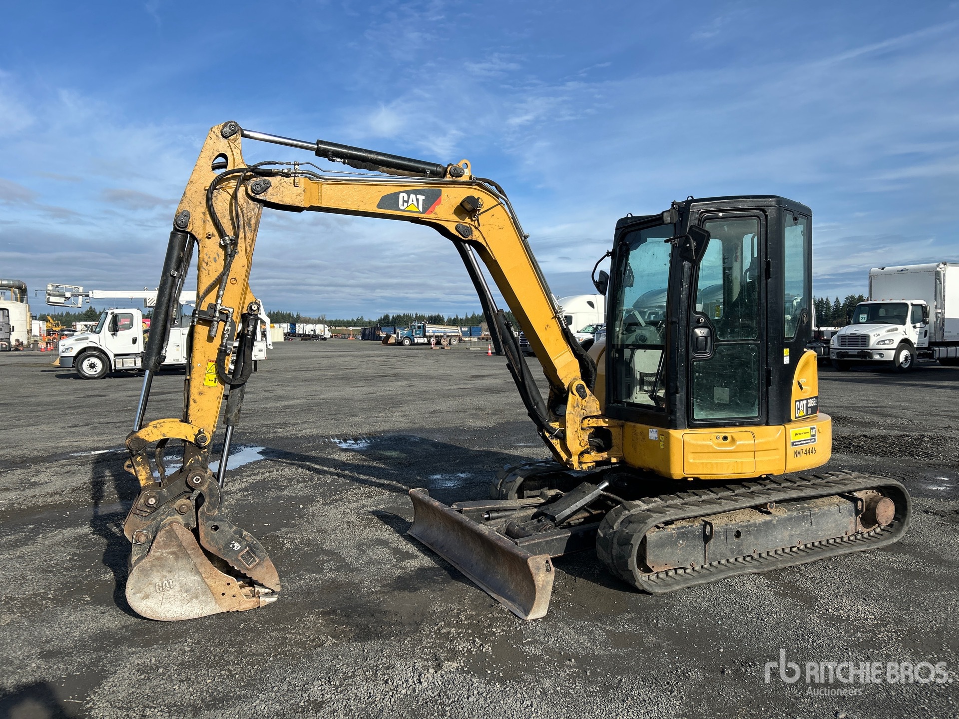 General Appearance with Spin