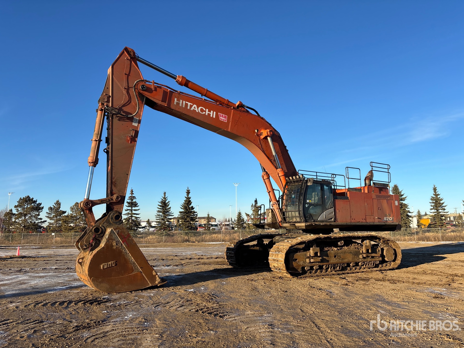 General Appearance with Spin