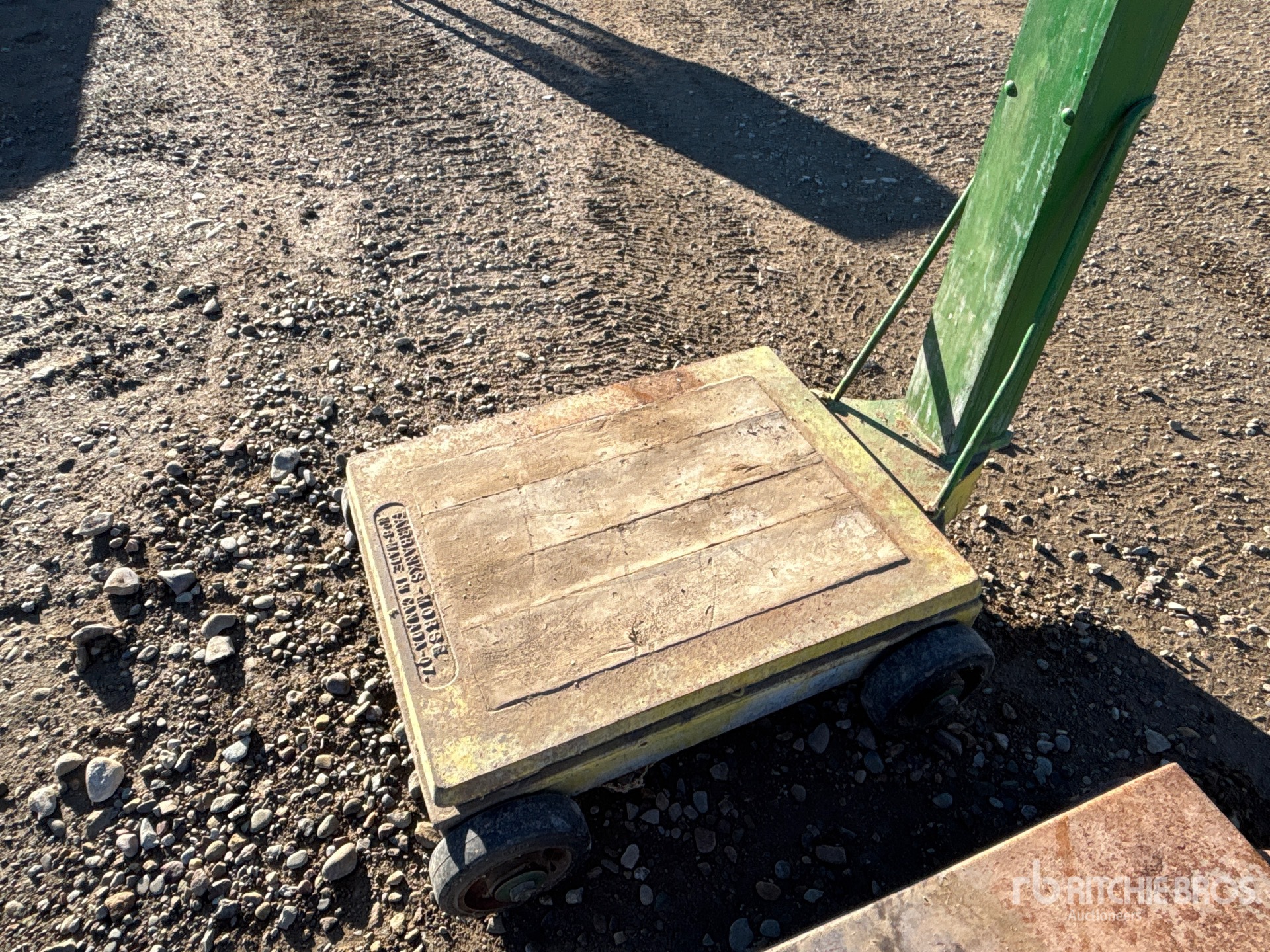 General Appearance with 