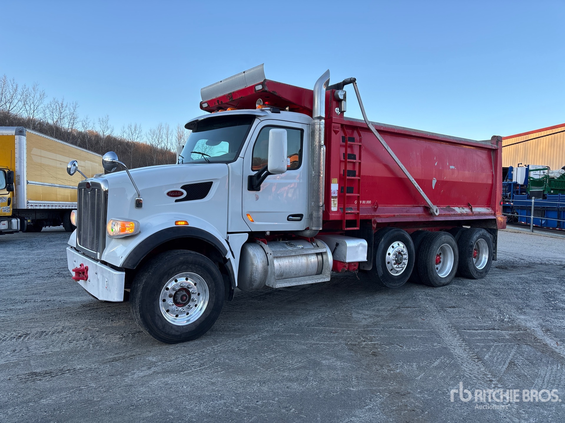 General Appearance with Spin