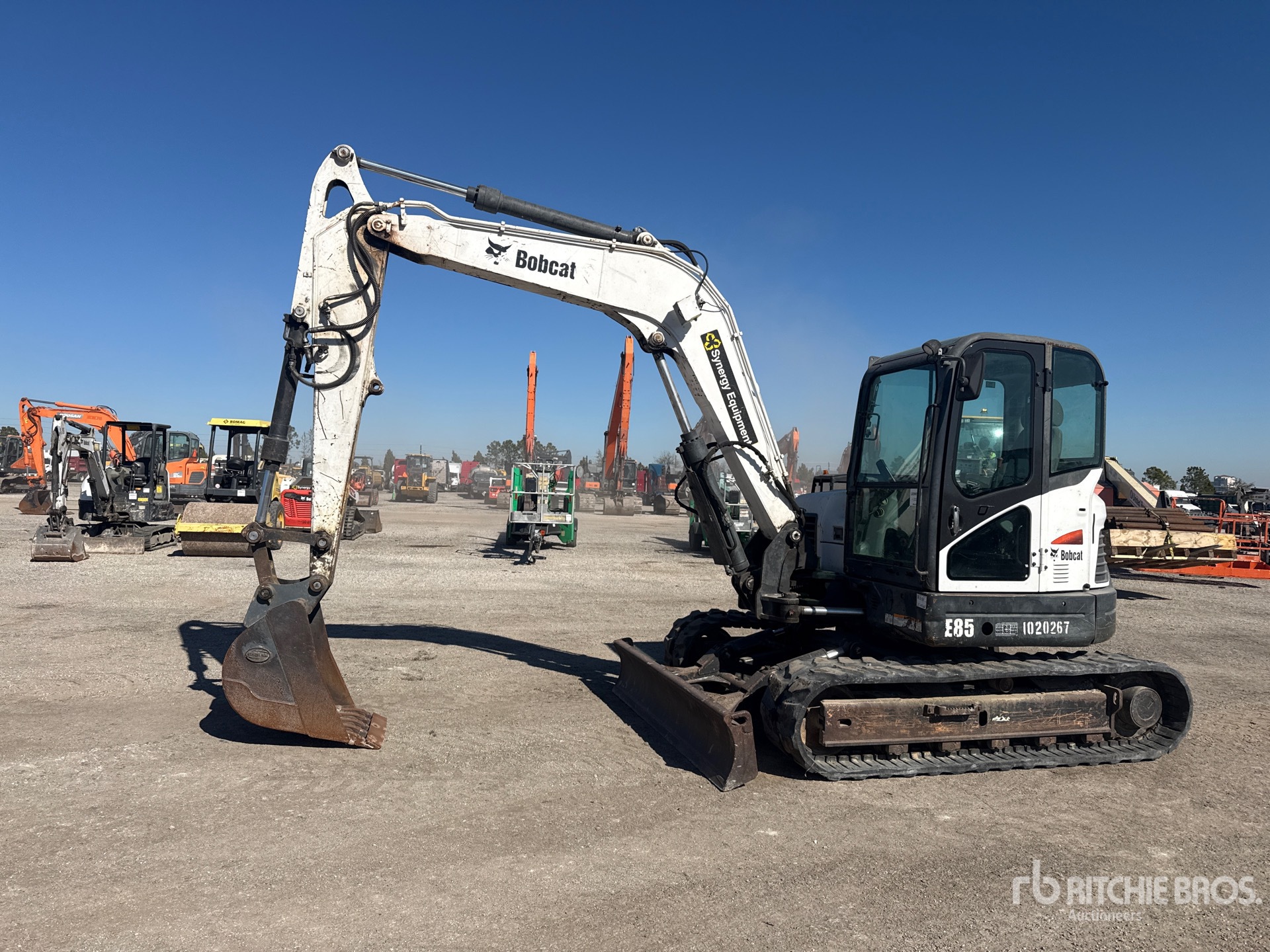 General Appearance with Spin