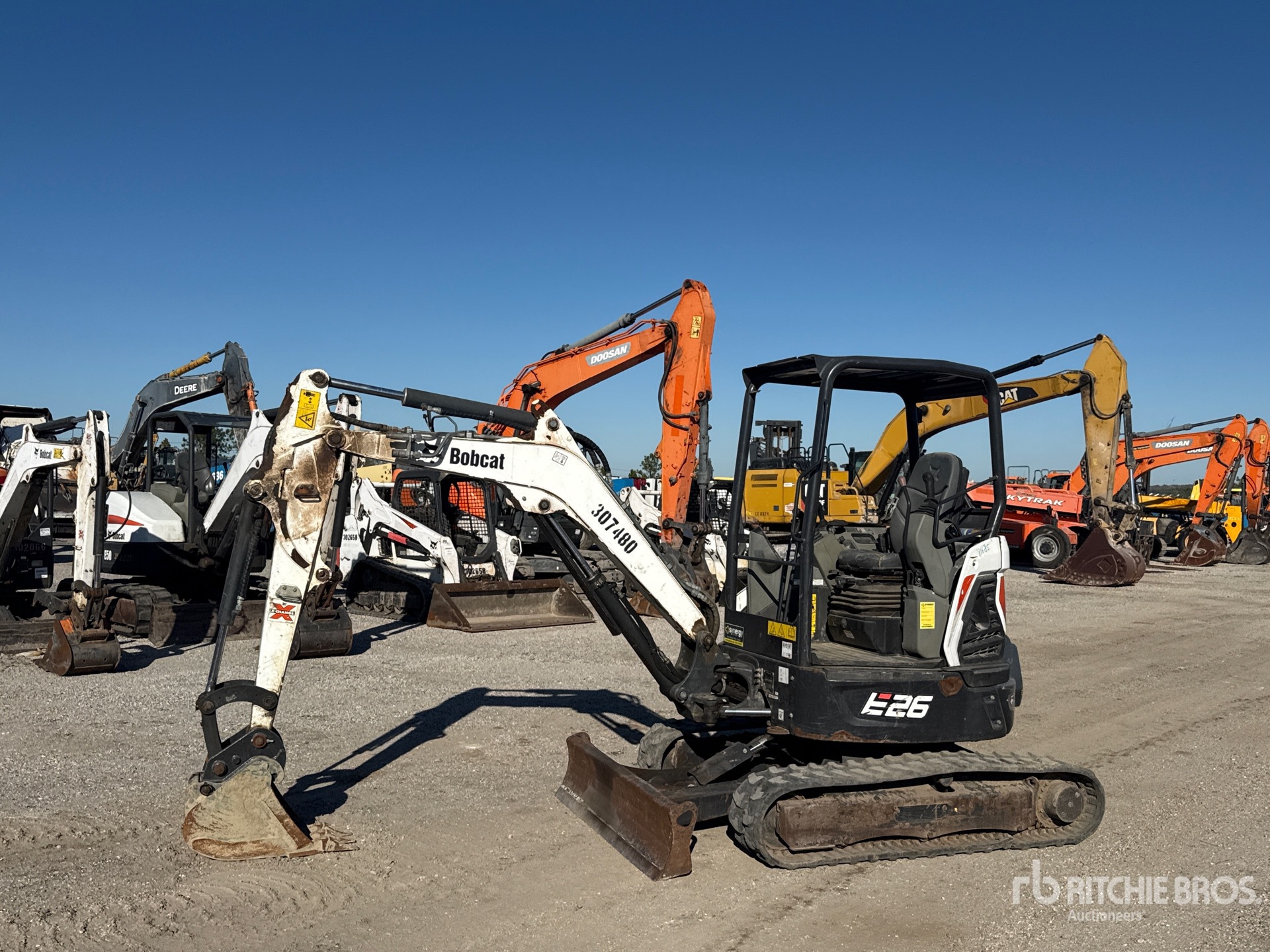 General Appearance with Spin