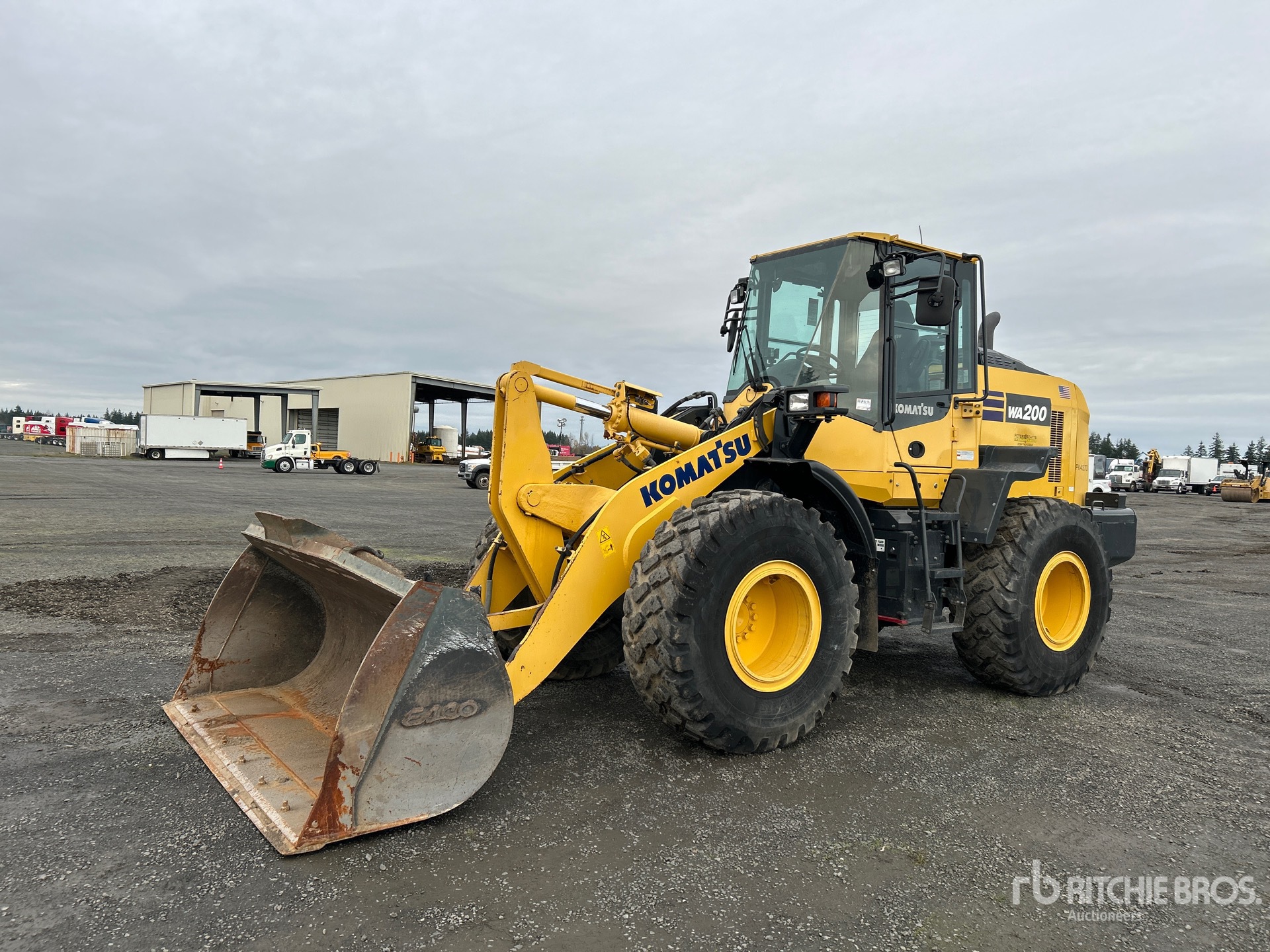 General Appearance with Spin