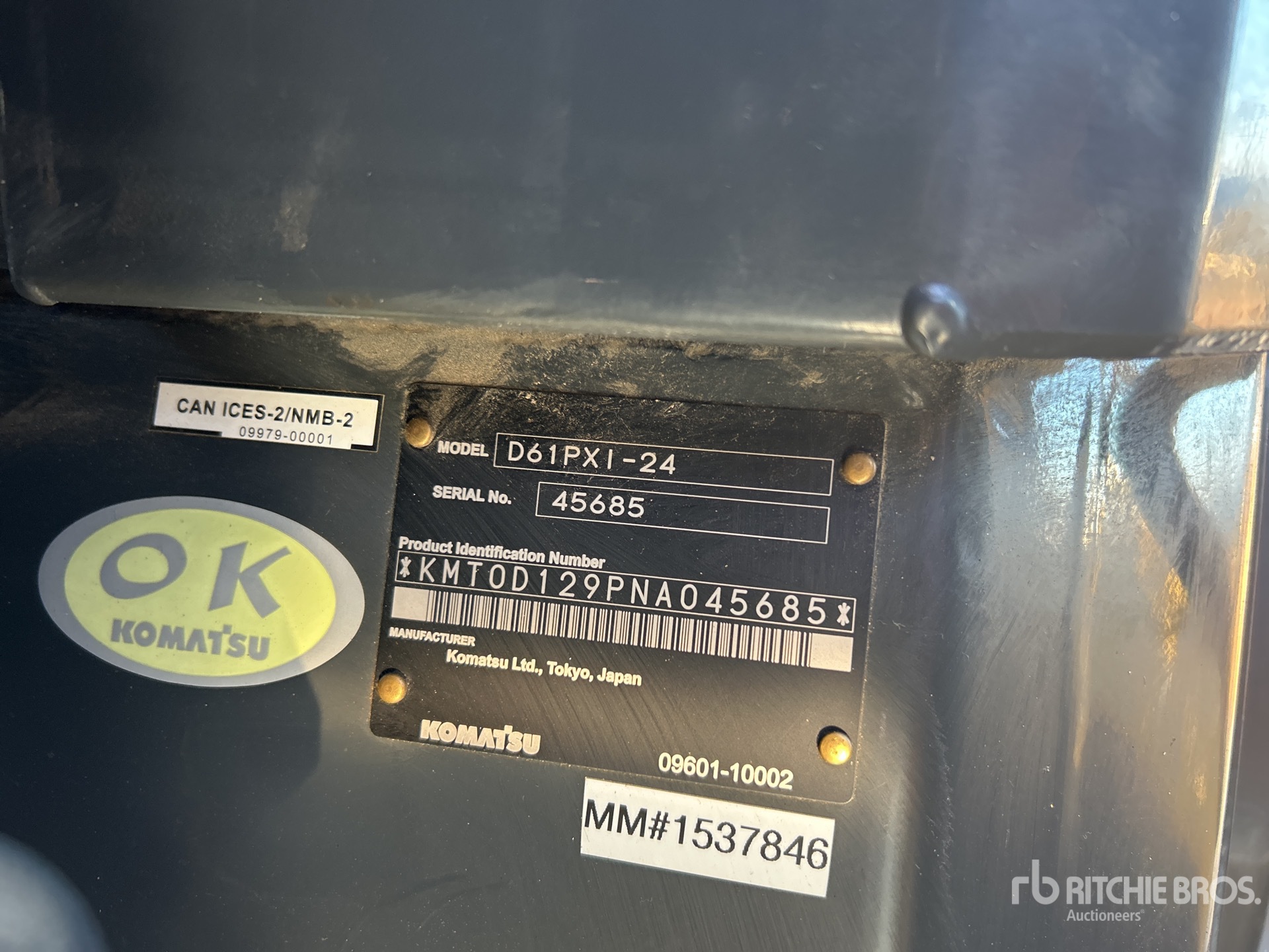 General Appearance with 