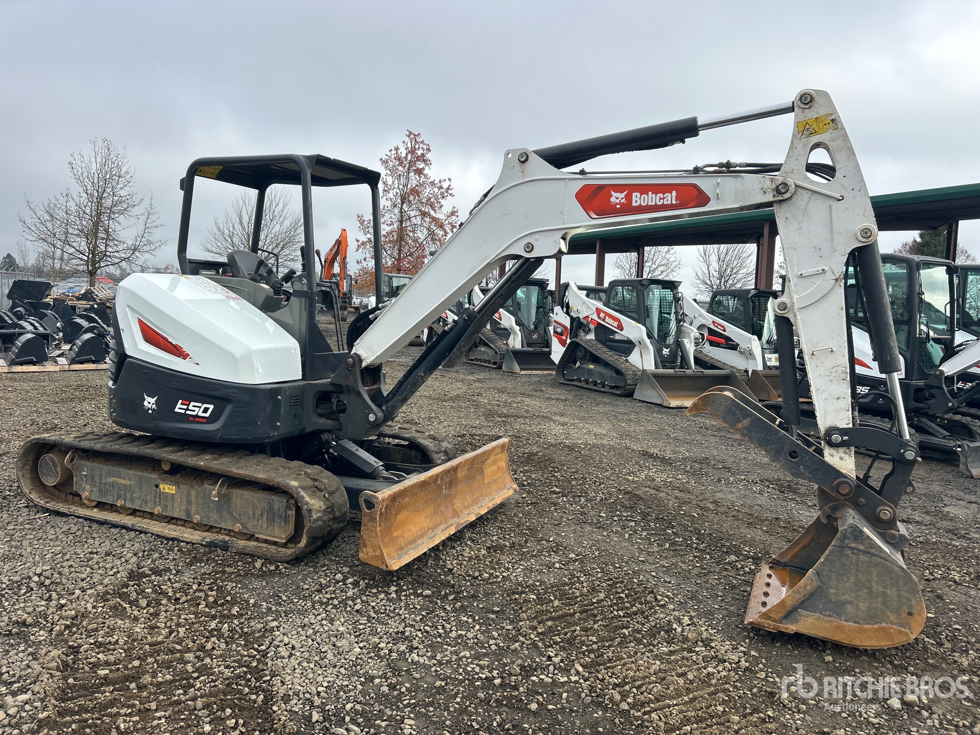 General Appearance with Zdjęcie, prawy górny róg