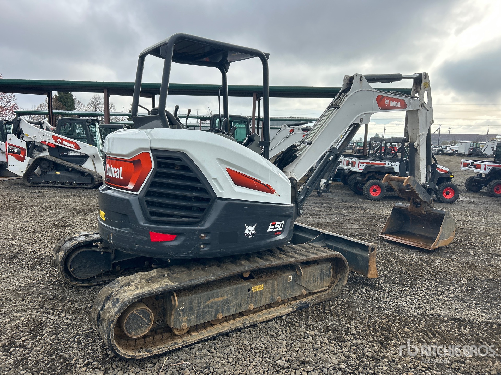 General Appearance with Zdjęcie, prawy dolny róg