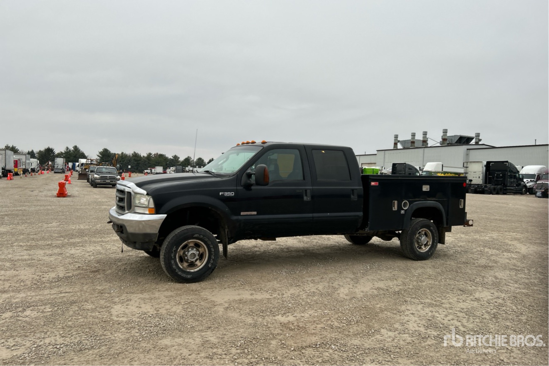 General Appearance with Spin