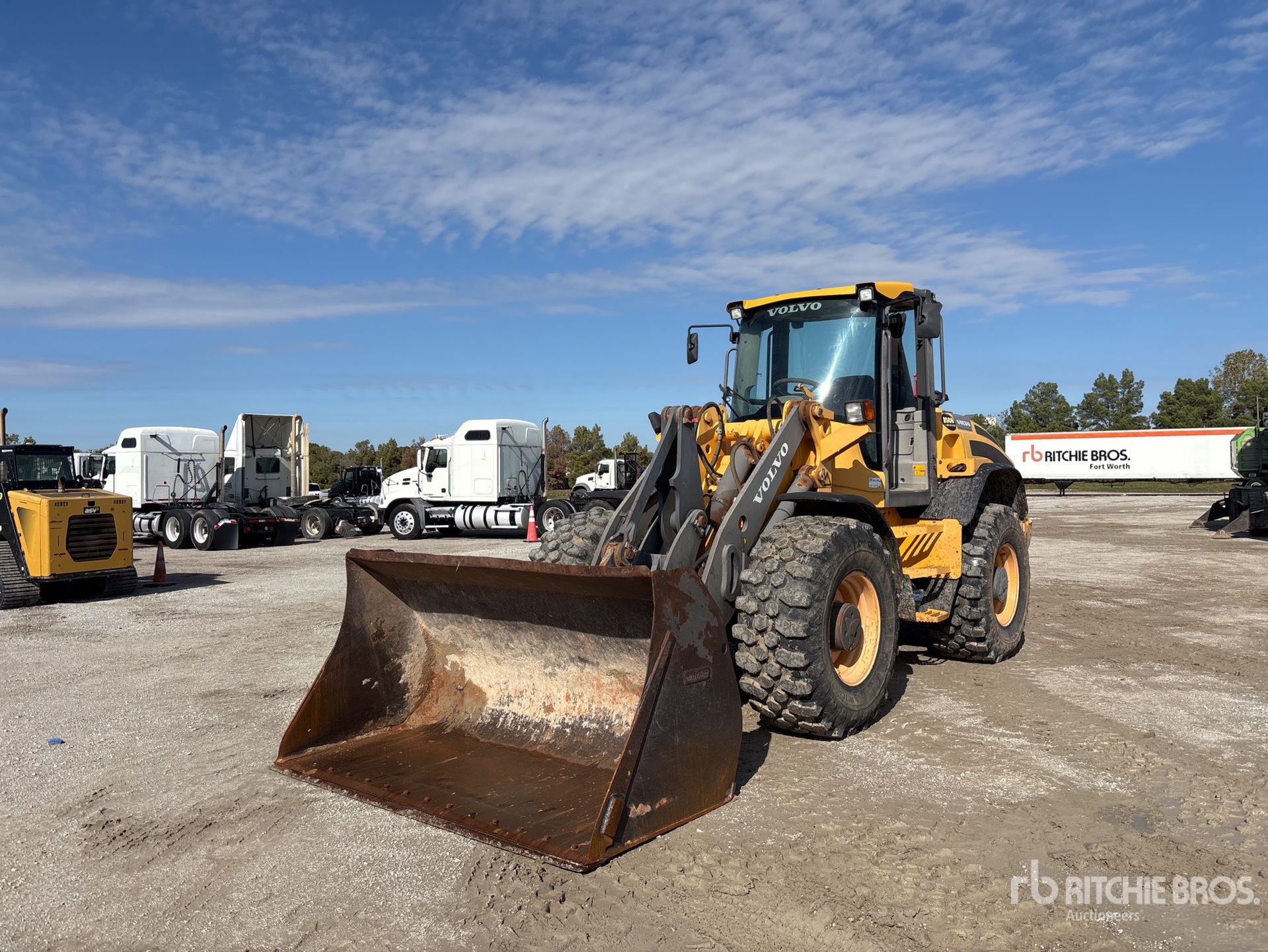 General Appearance with Spin