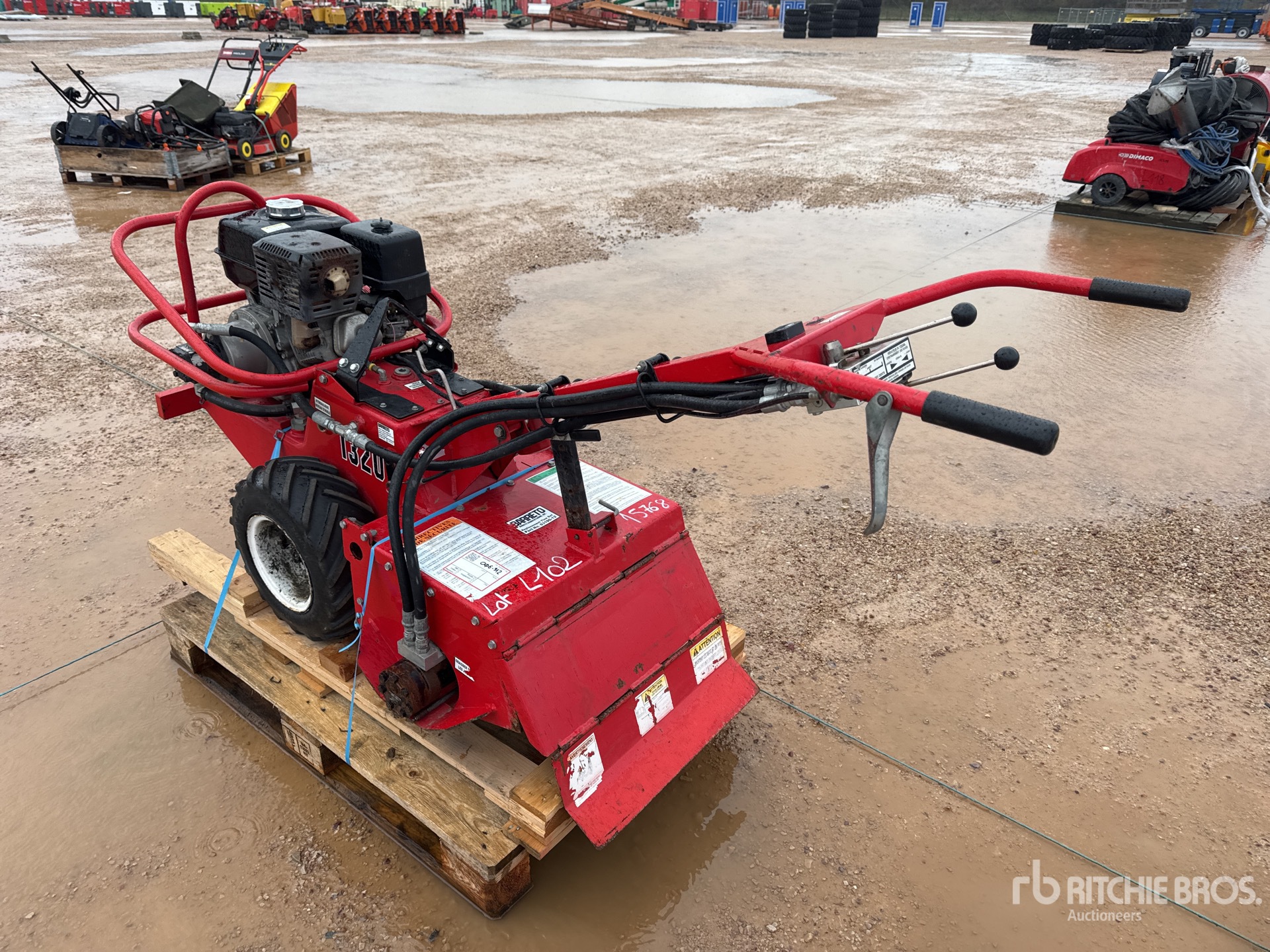 General Appearance with 