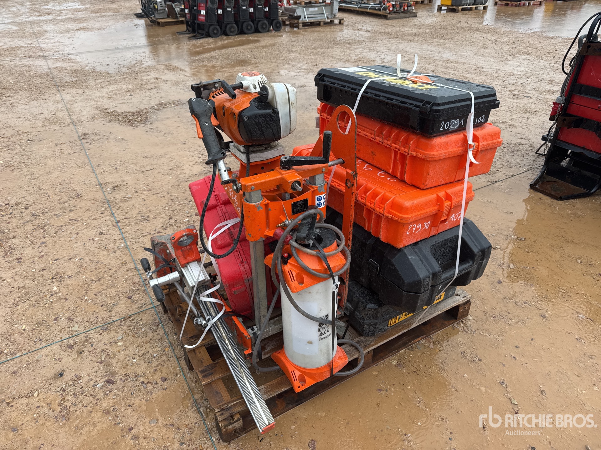 General Appearance with 