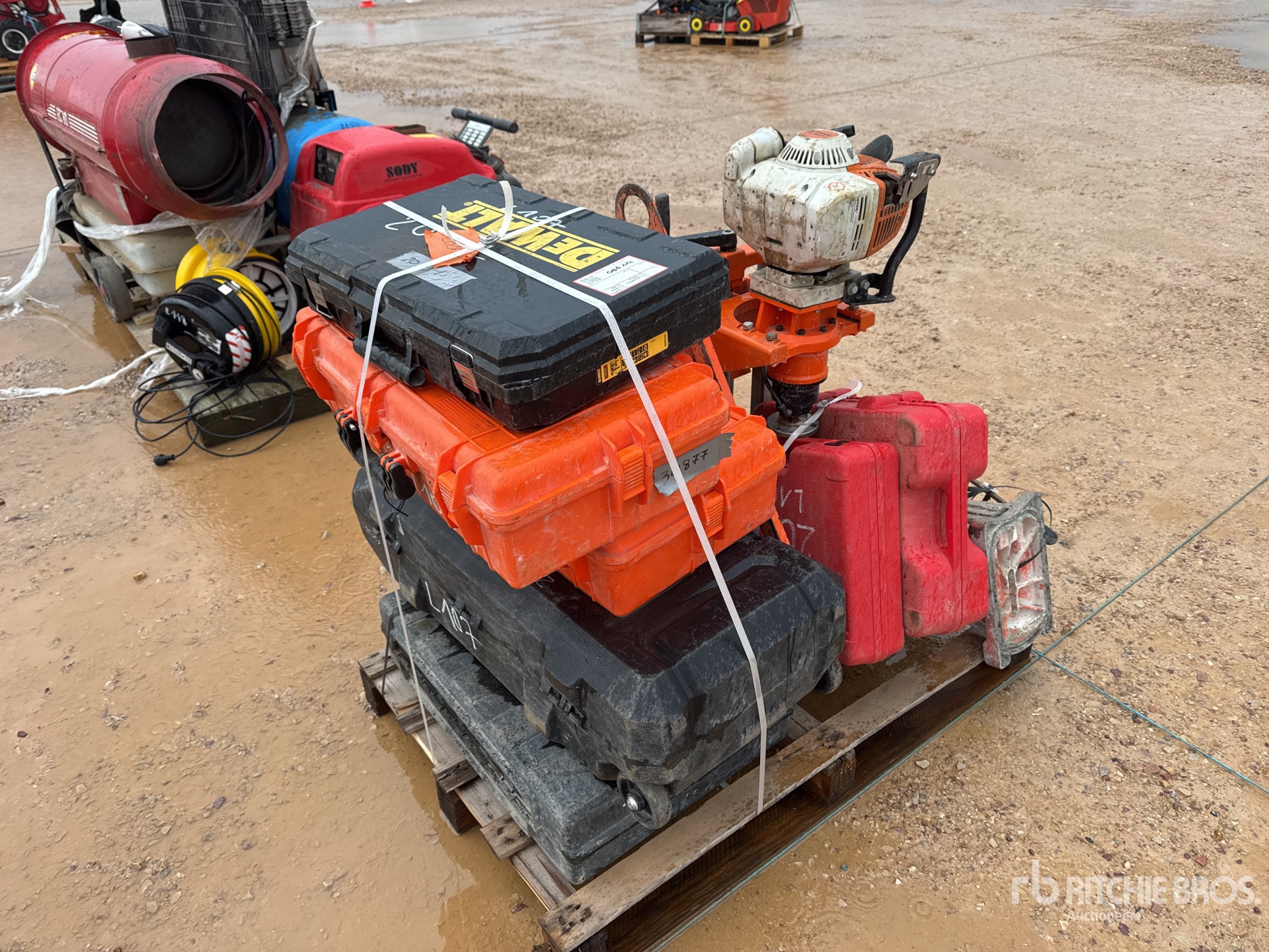 General Appearance with 