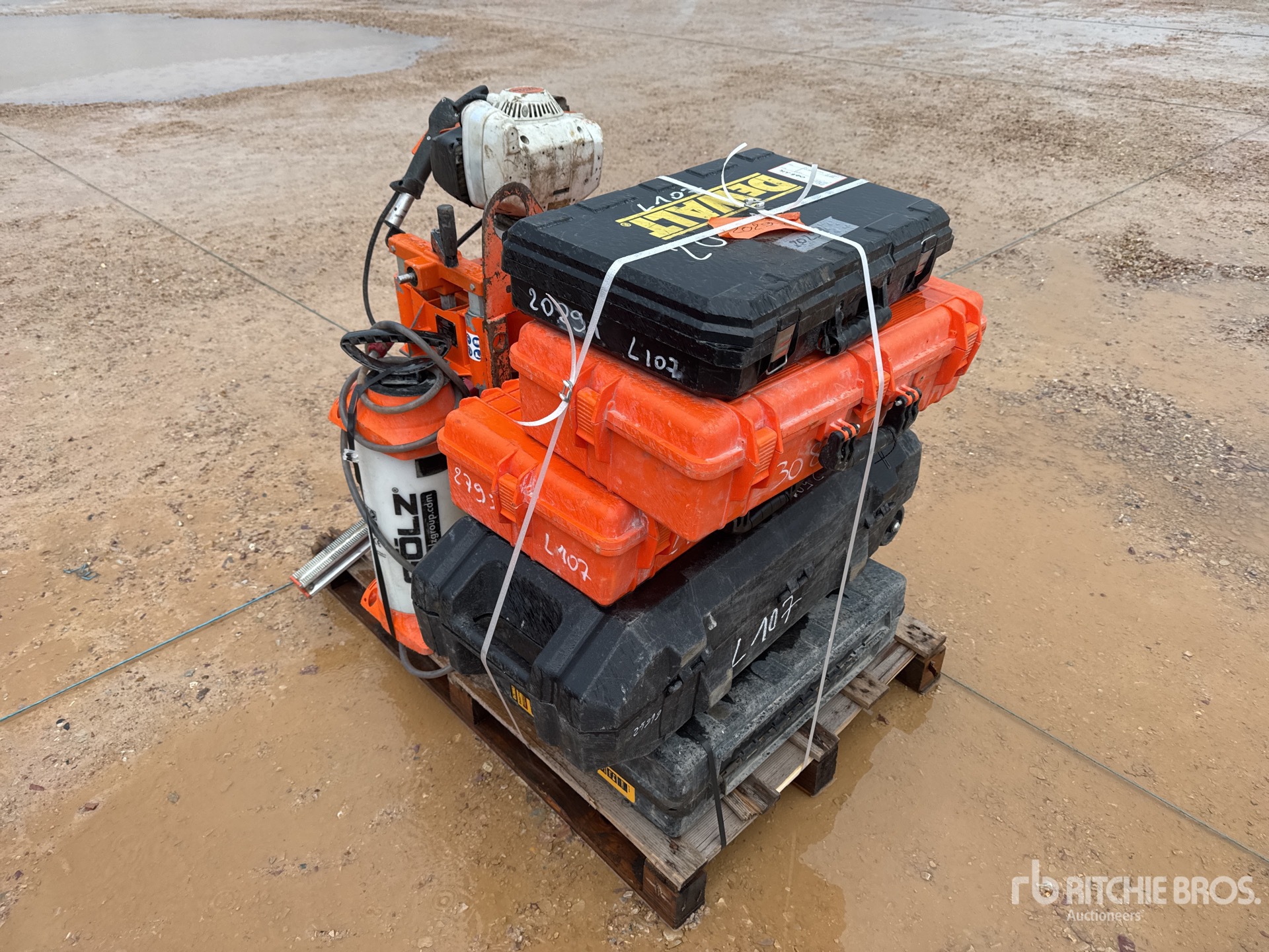 General Appearance with 