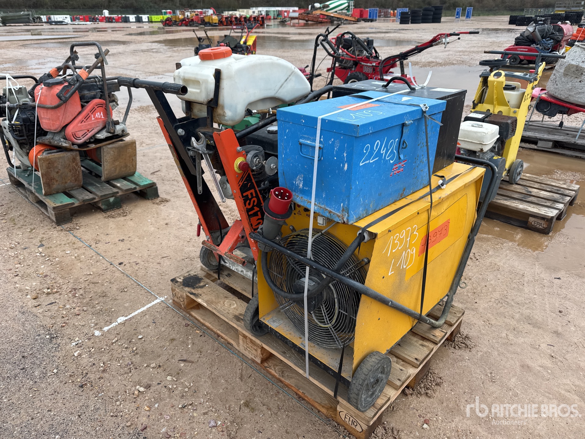 General Appearance with 