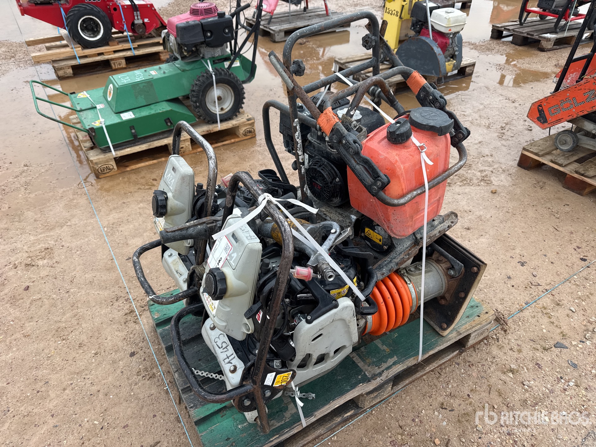 General Appearance with 