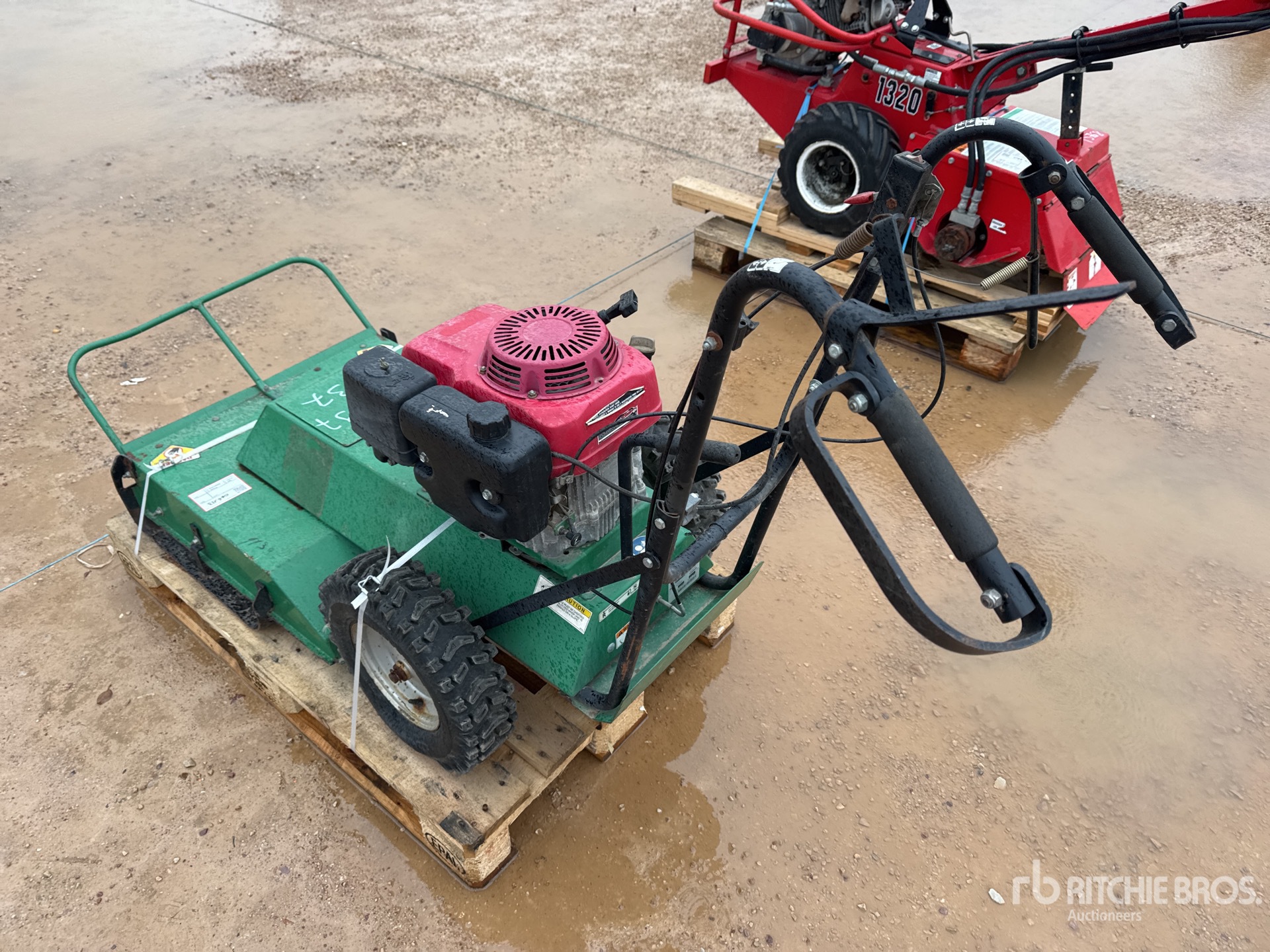 General Appearance with 