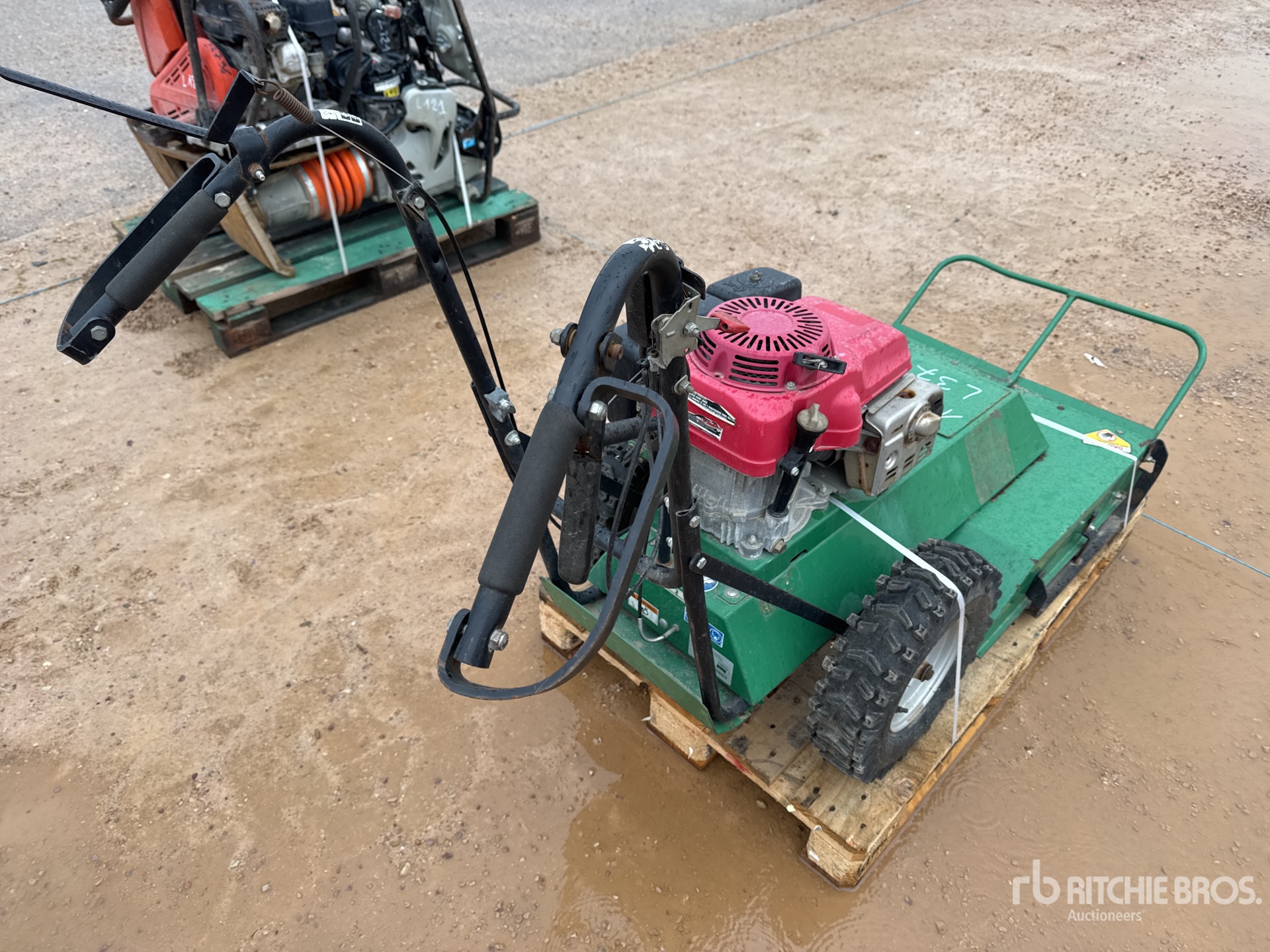 General Appearance with 