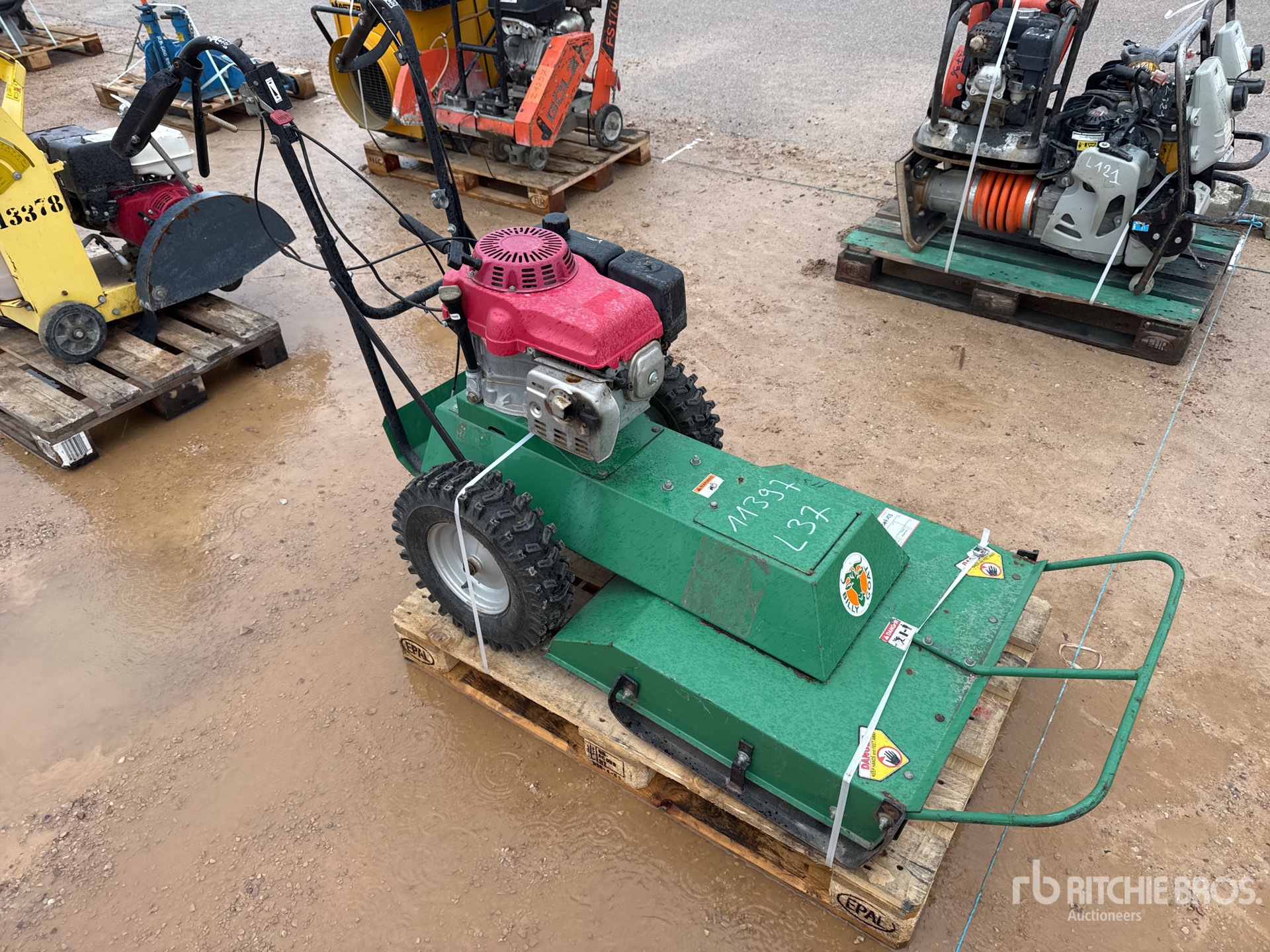 General Appearance with 