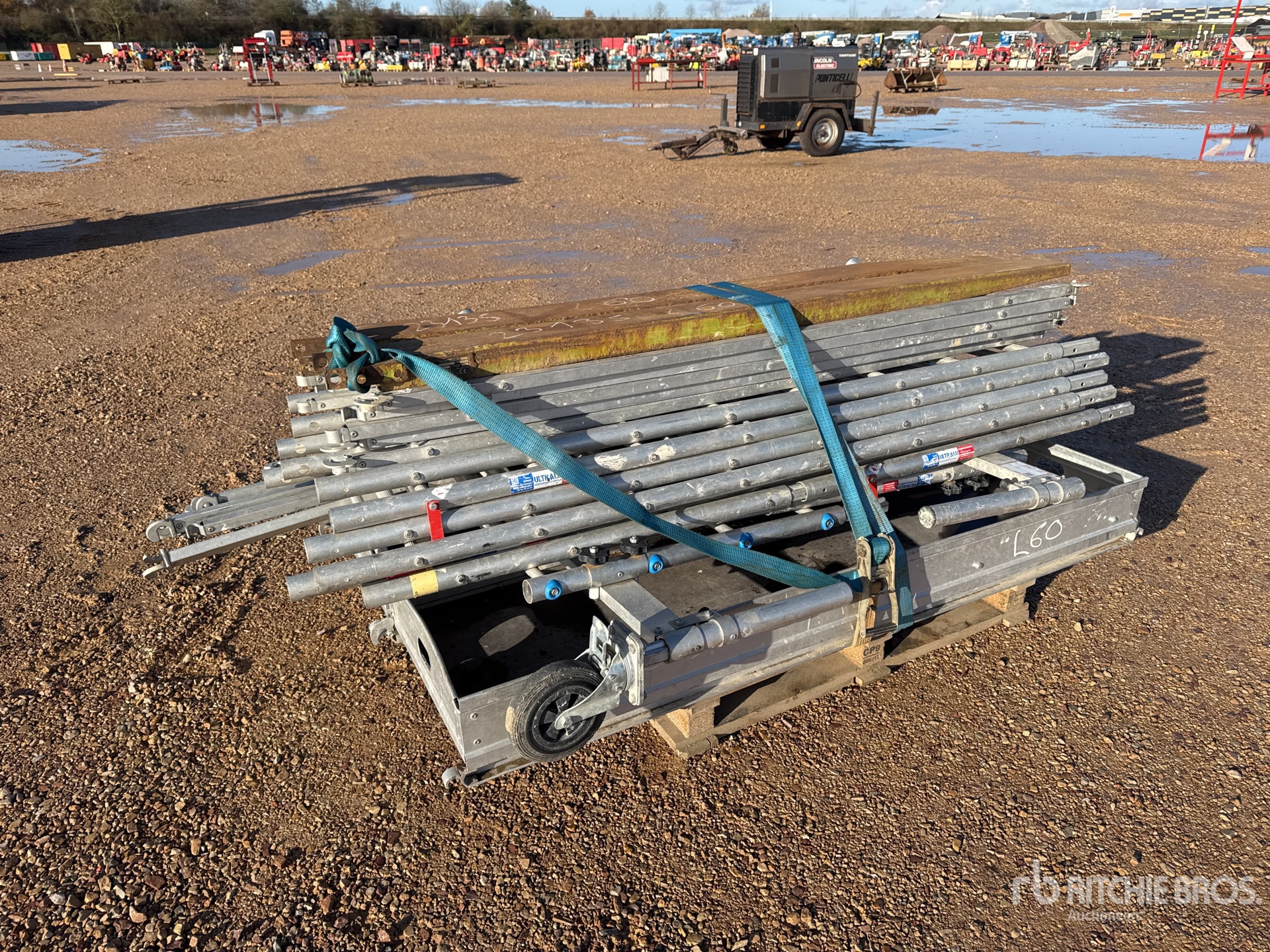 General Appearance with 