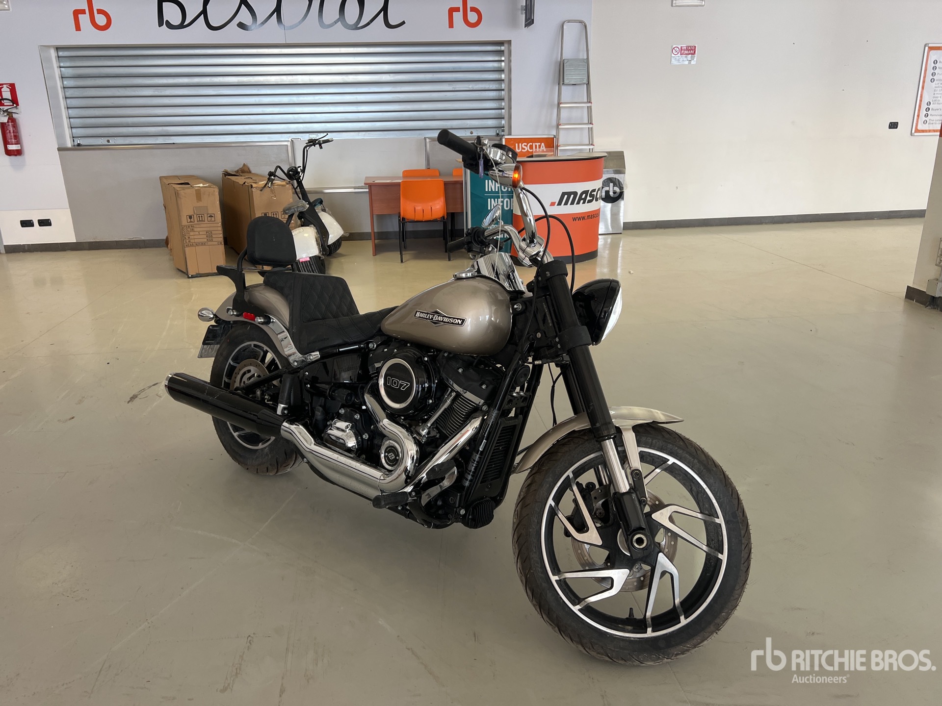 General Appearance with