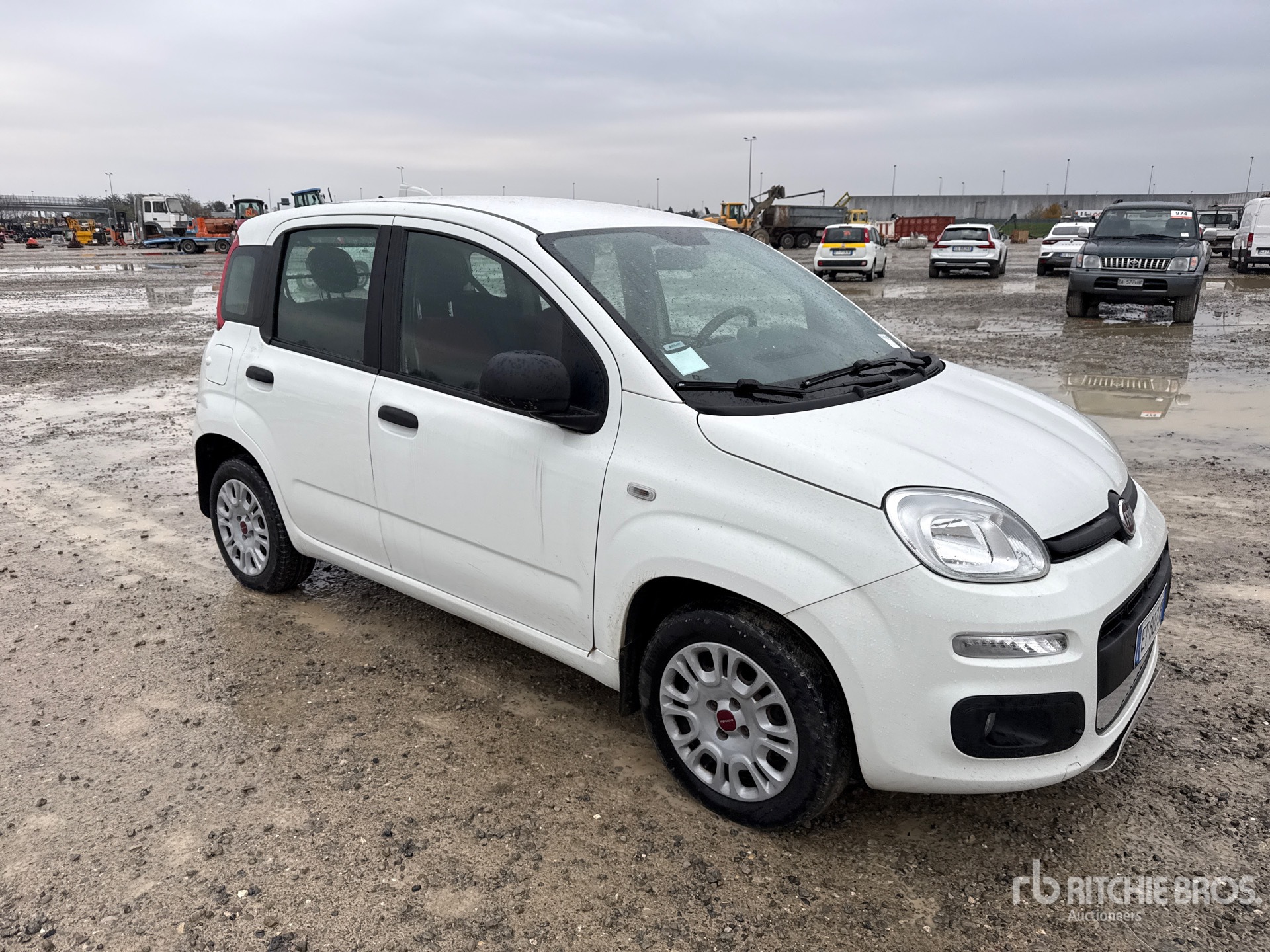 General Appearance with 