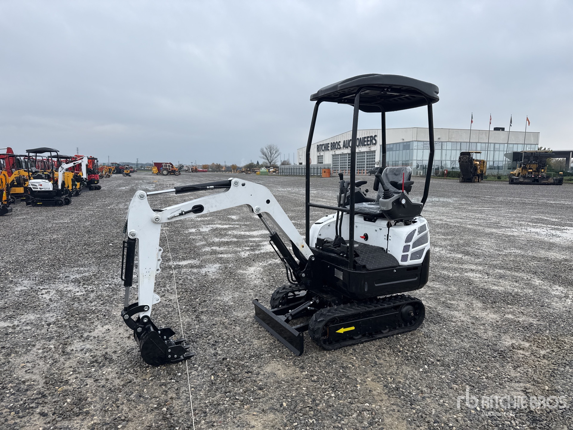 General Appearance with 