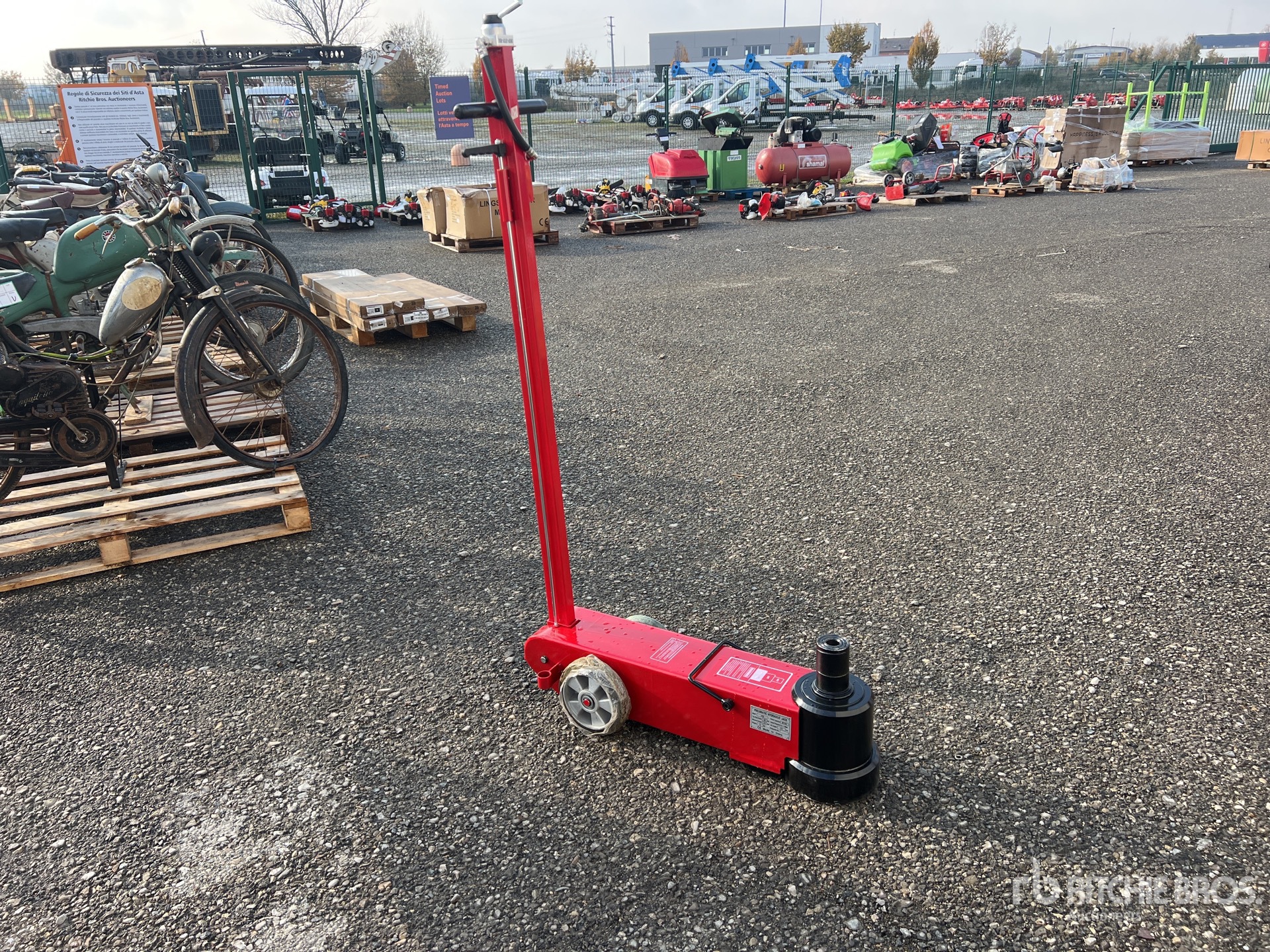 General Appearance with 