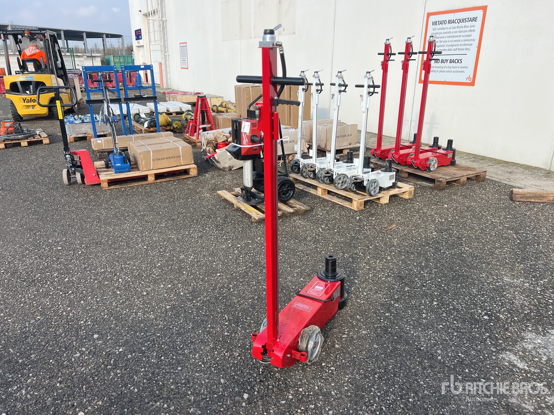 General Appearance with 