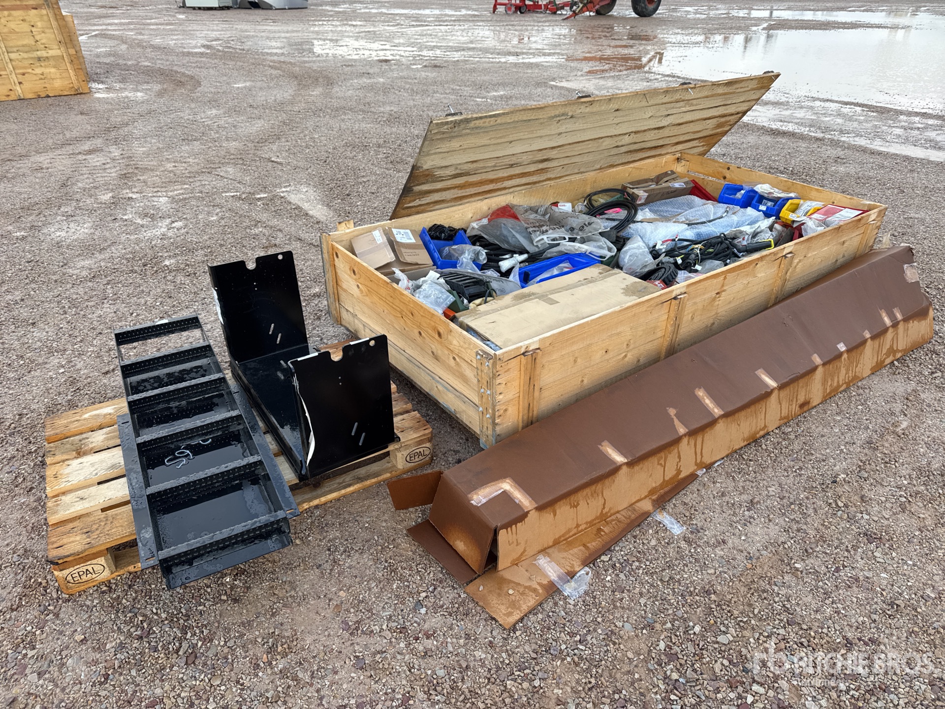 General Appearance with 