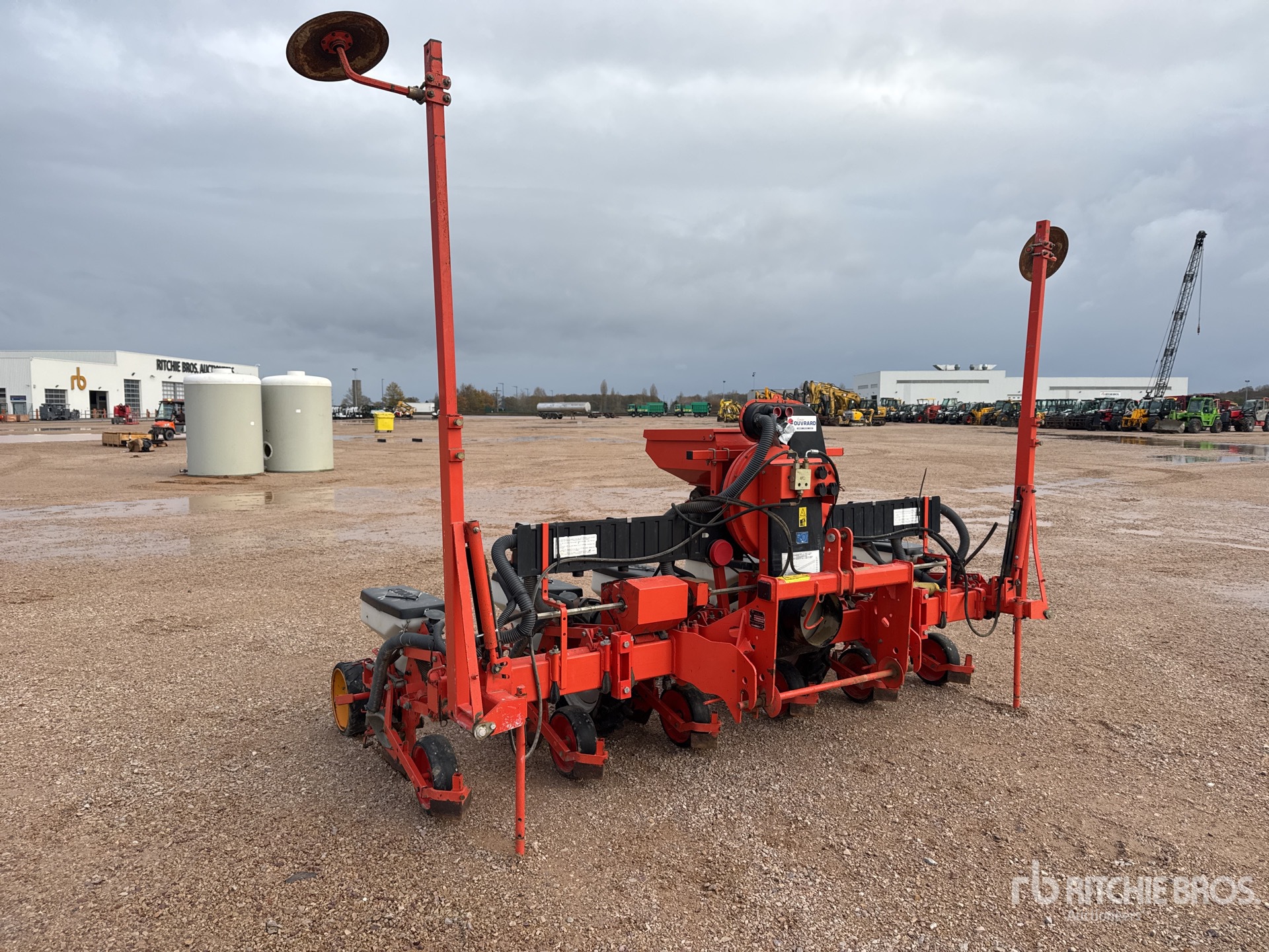 General Appearance with 