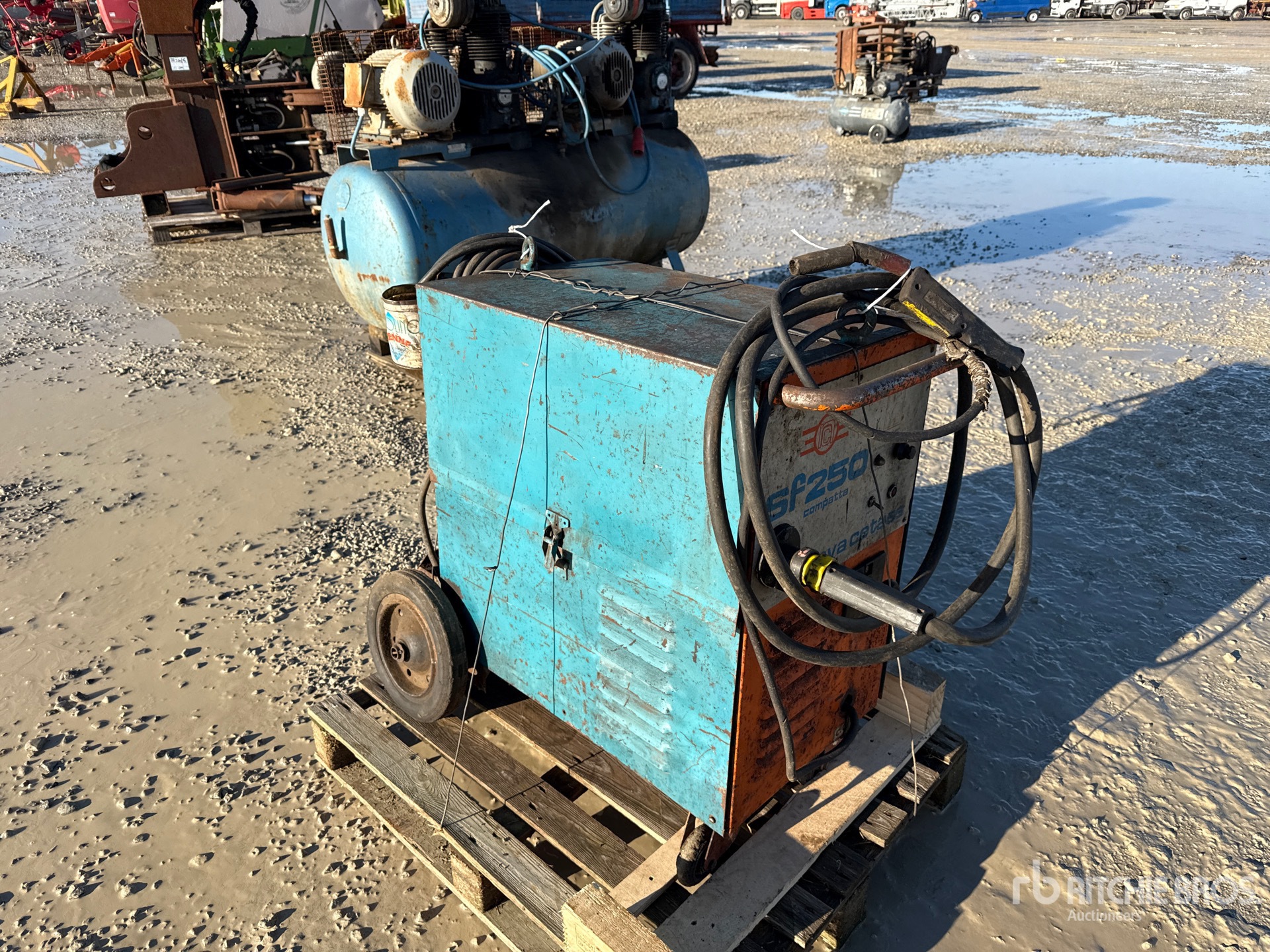 General Appearance with 