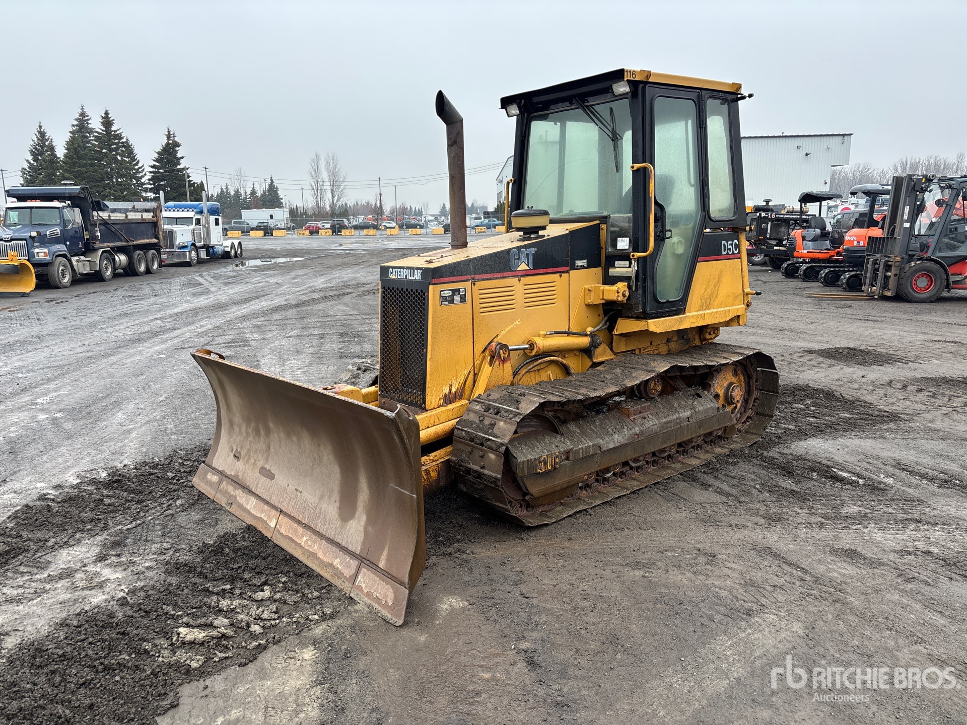 General Appearance with Spin