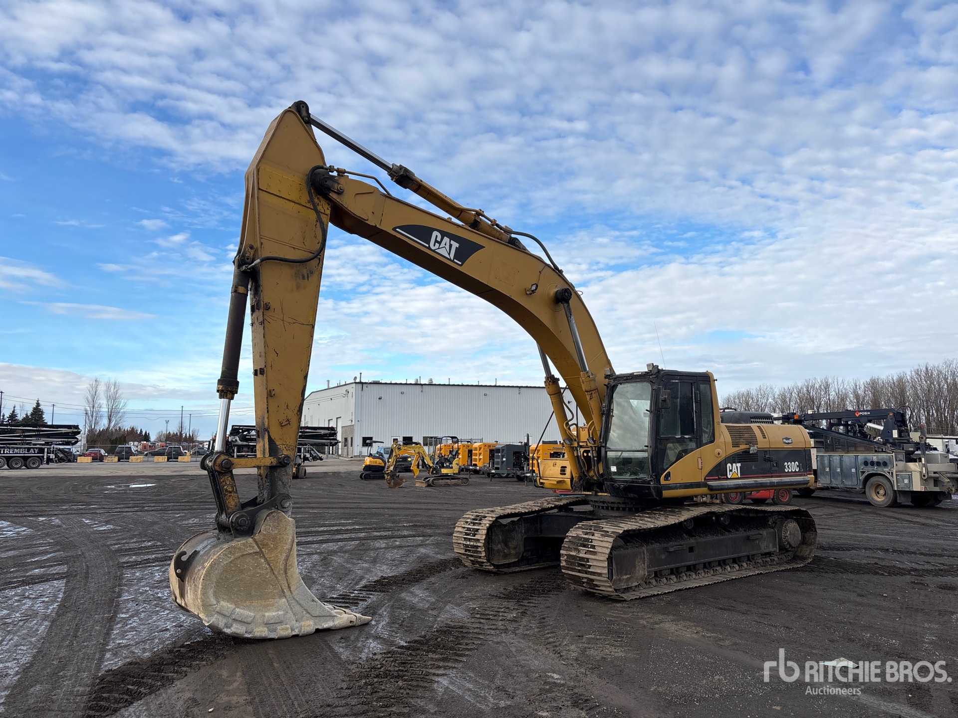 General Appearance with Spin