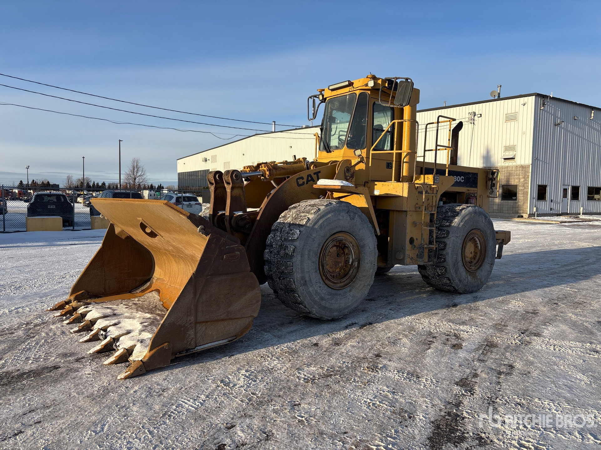 General Appearance with Spin