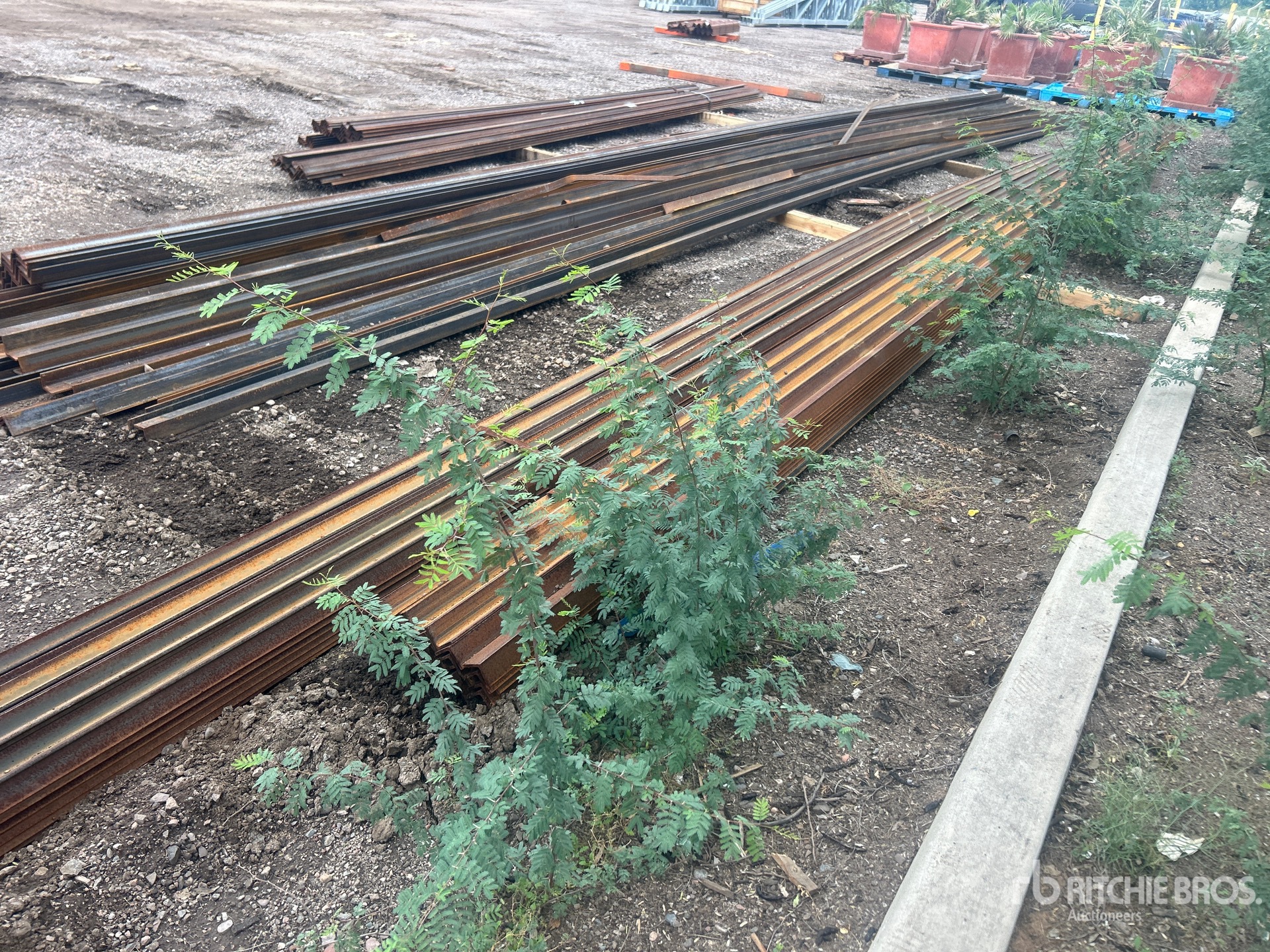 General Appearance with Zdjęcie, lewy dolny róg