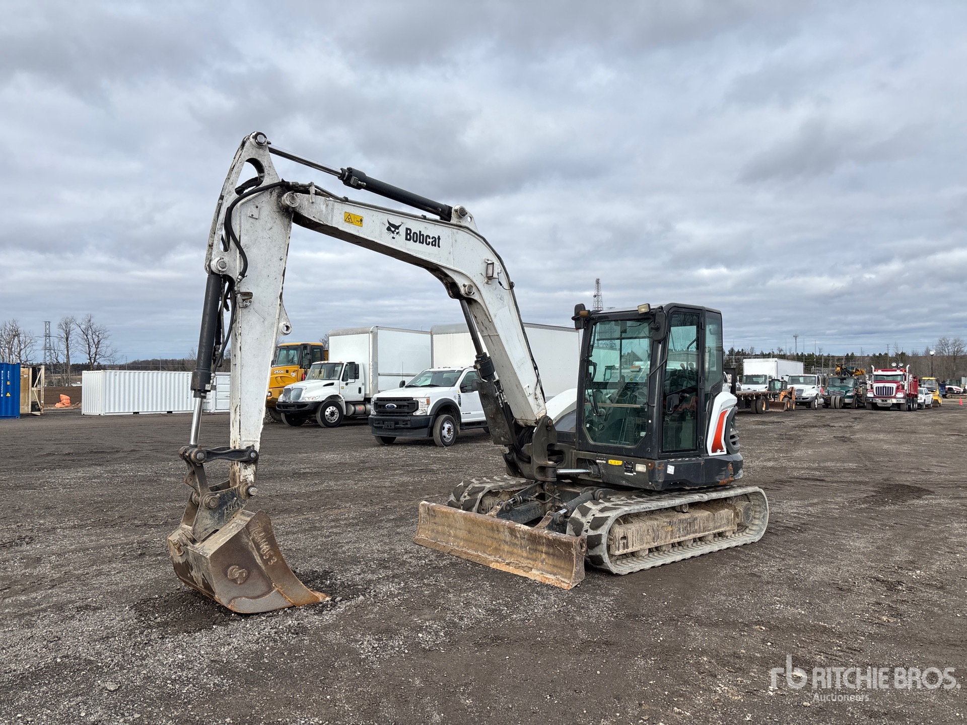 General Appearance with Spin