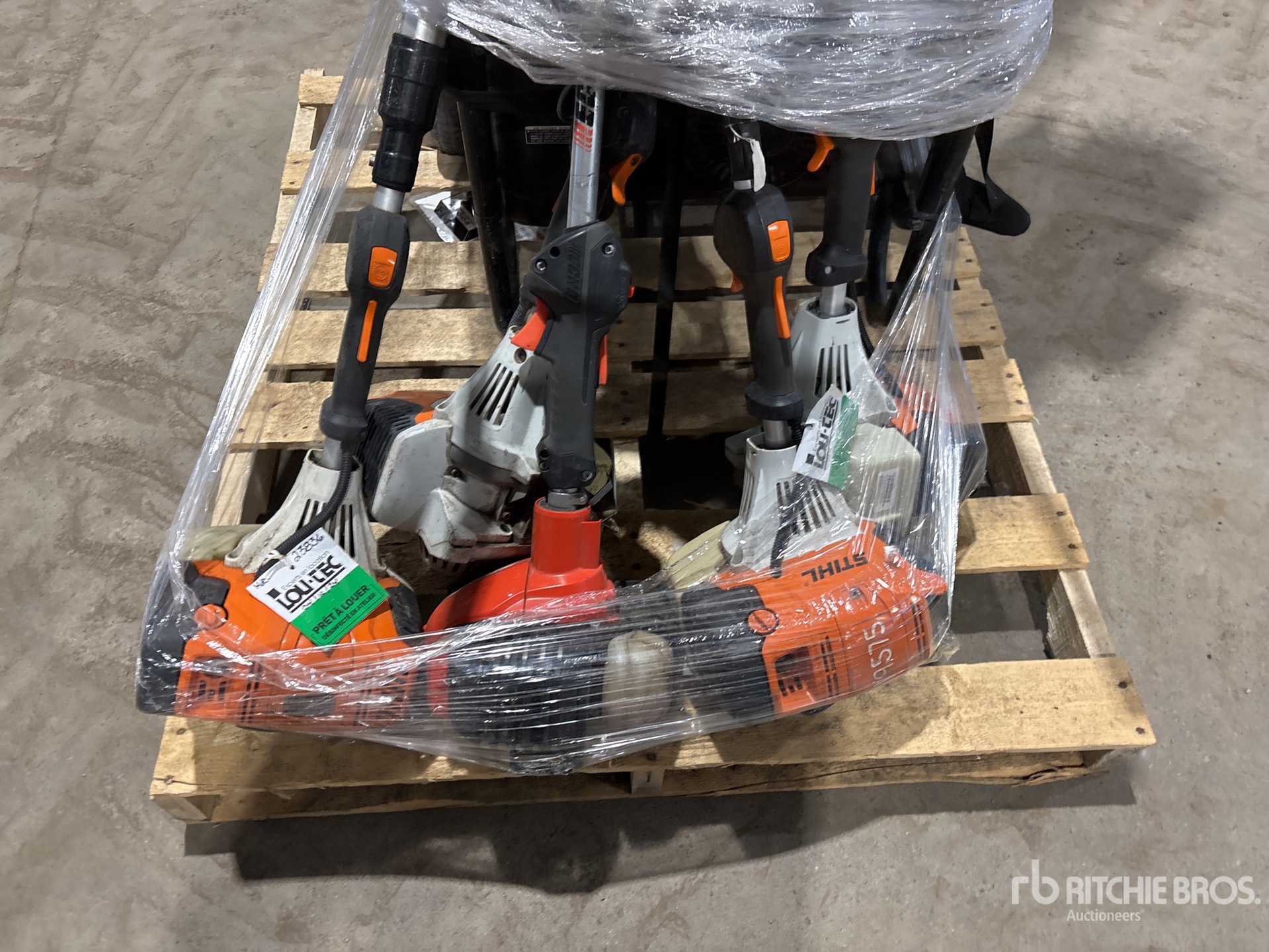 General Appearance with 