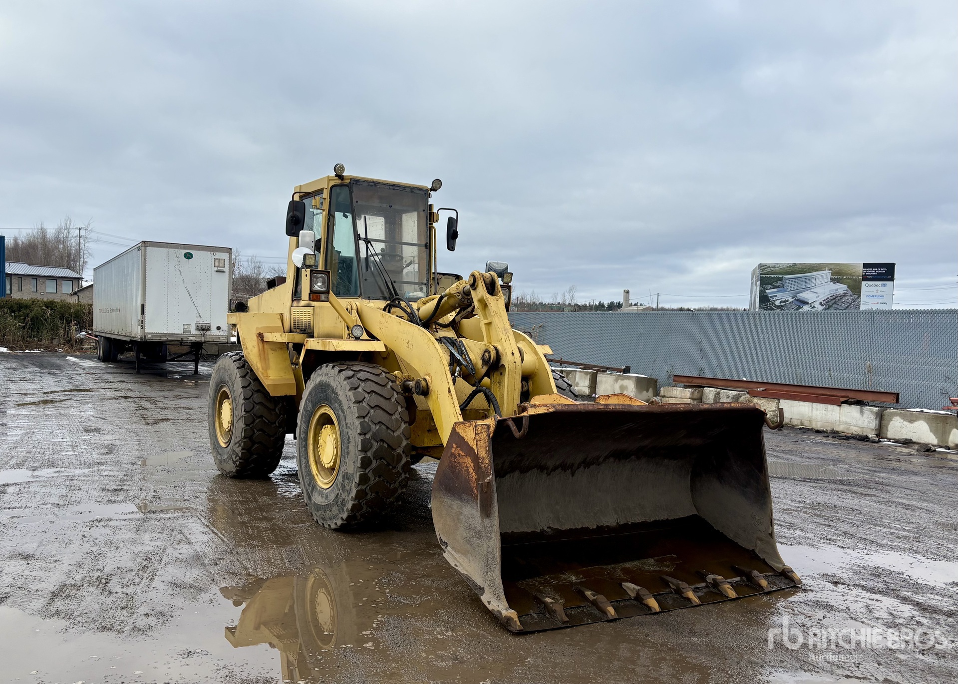 General Appearance with